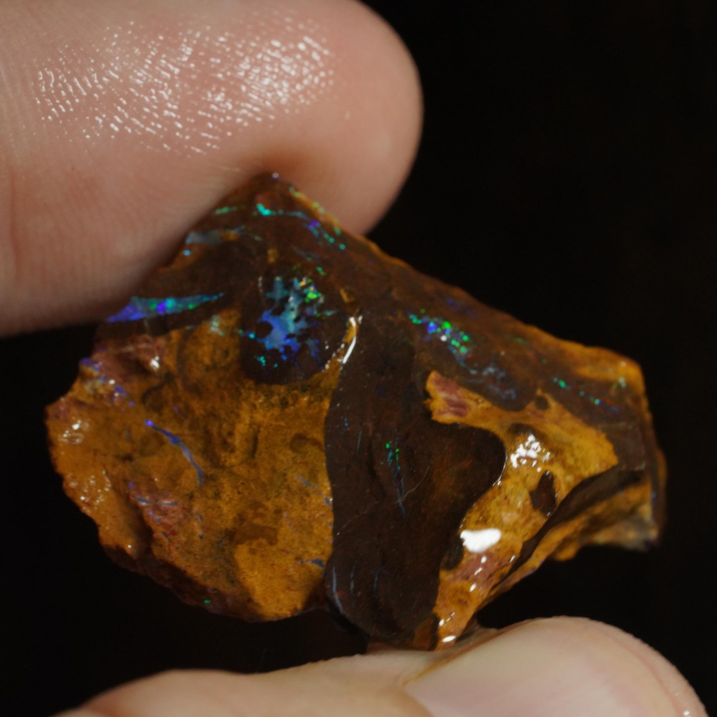 Rough Boulder Opal
