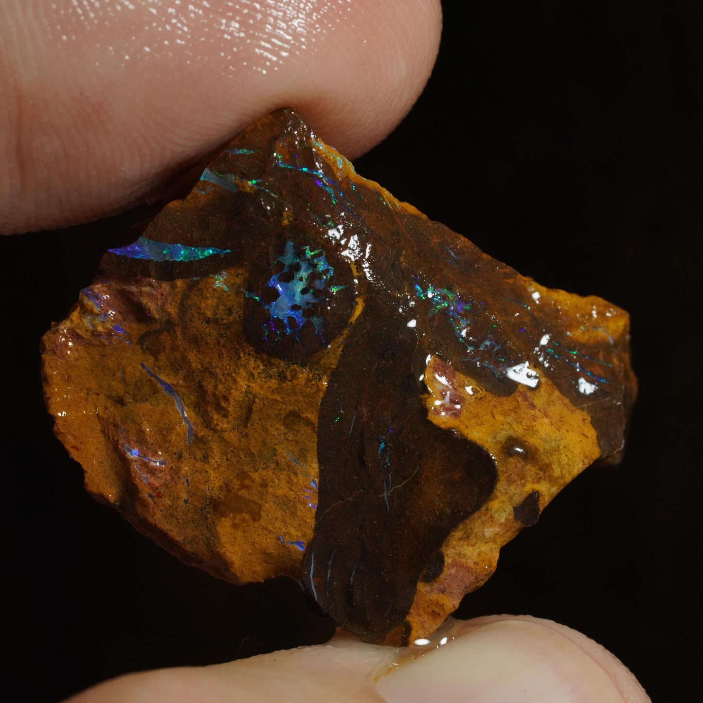 Rough Boulder Opal