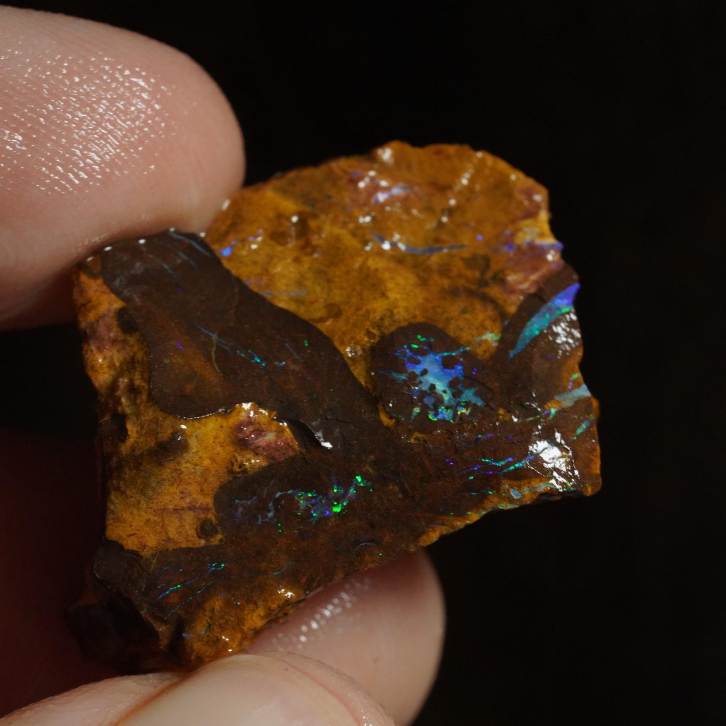 Rough Boulder Opal