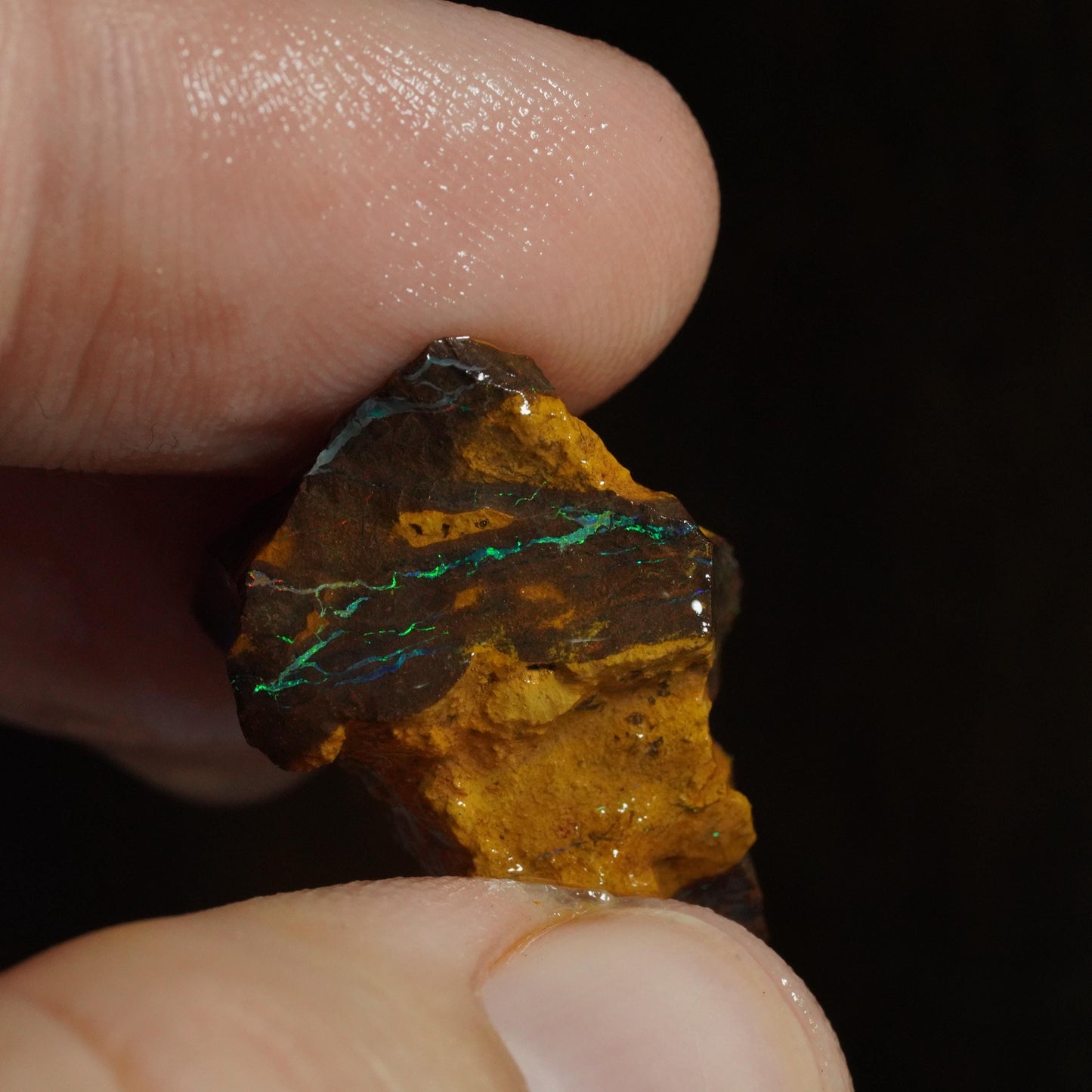 Rough Boulder Opal