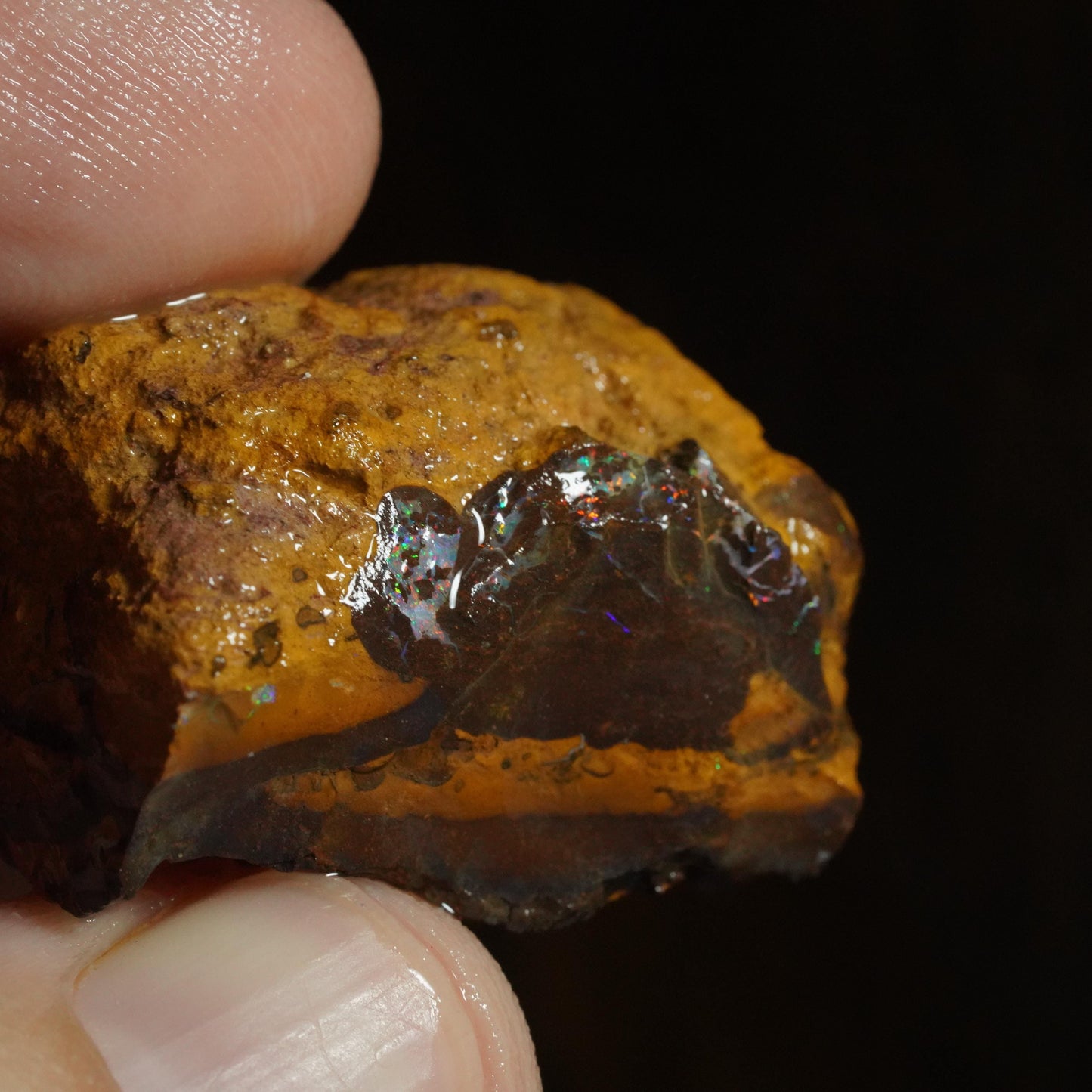 Rough Boulder Opal