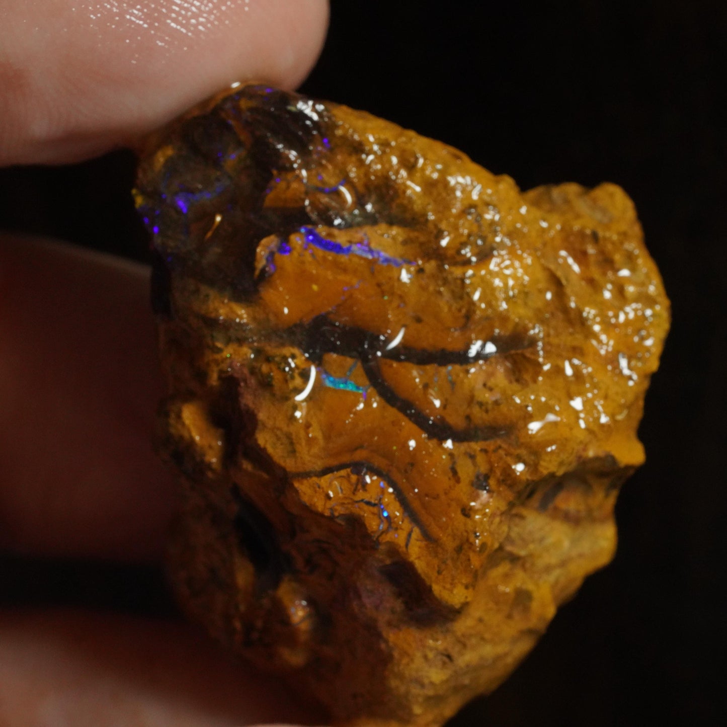 Rough Boulder Opal