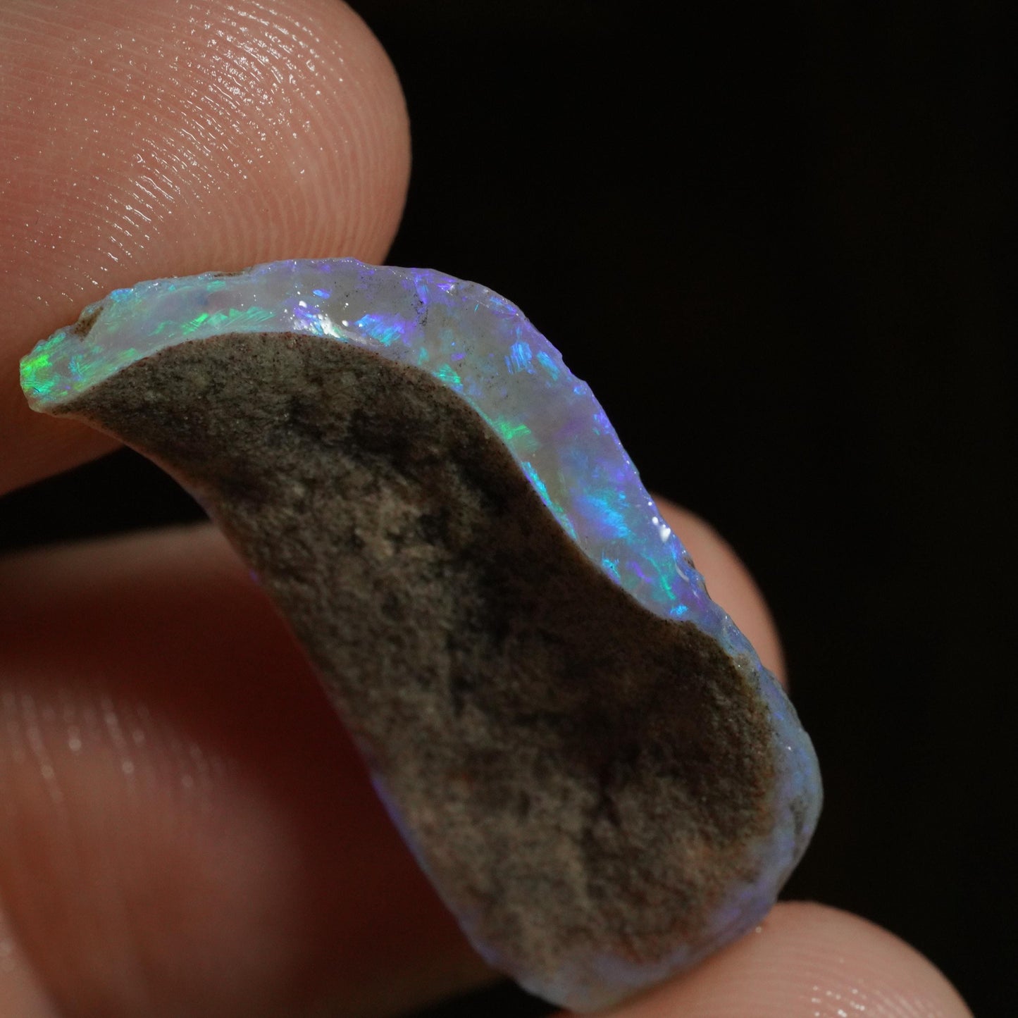 Australian Rough Opal / Fossil Shell Segment