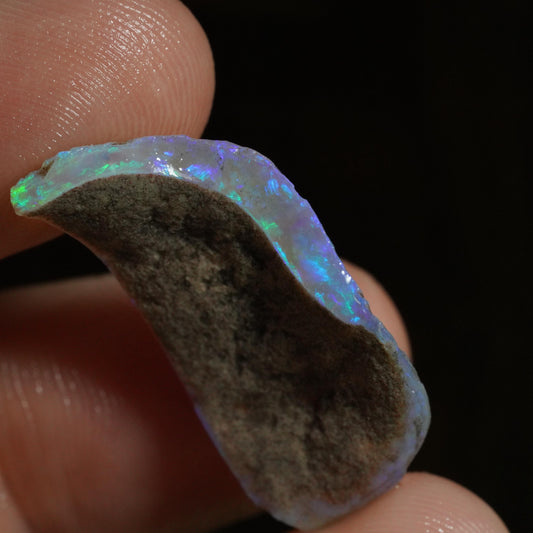 Australian Rough Opal / Fossil Shell Segment