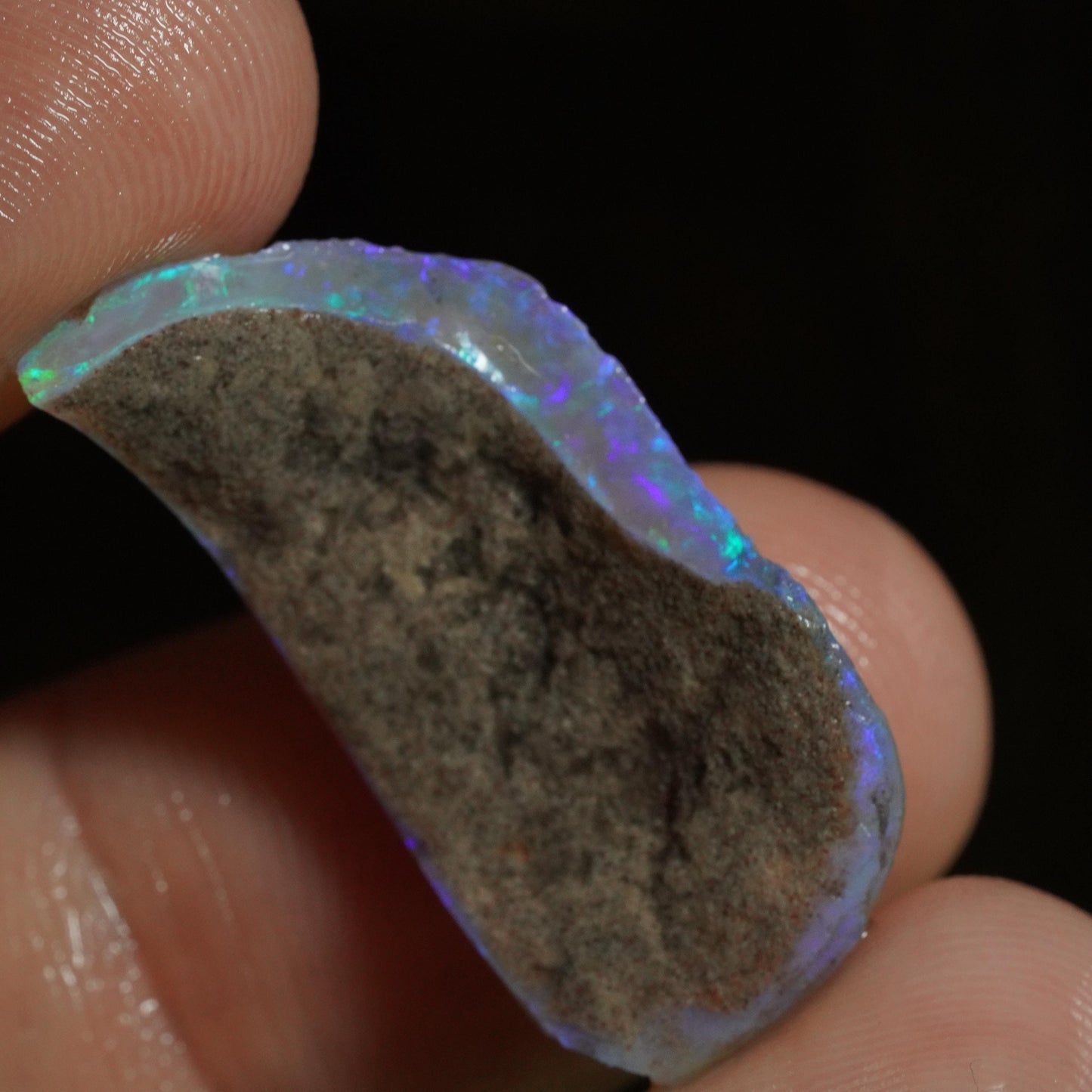 Australian Rough Opal / Fossil Shell Segment