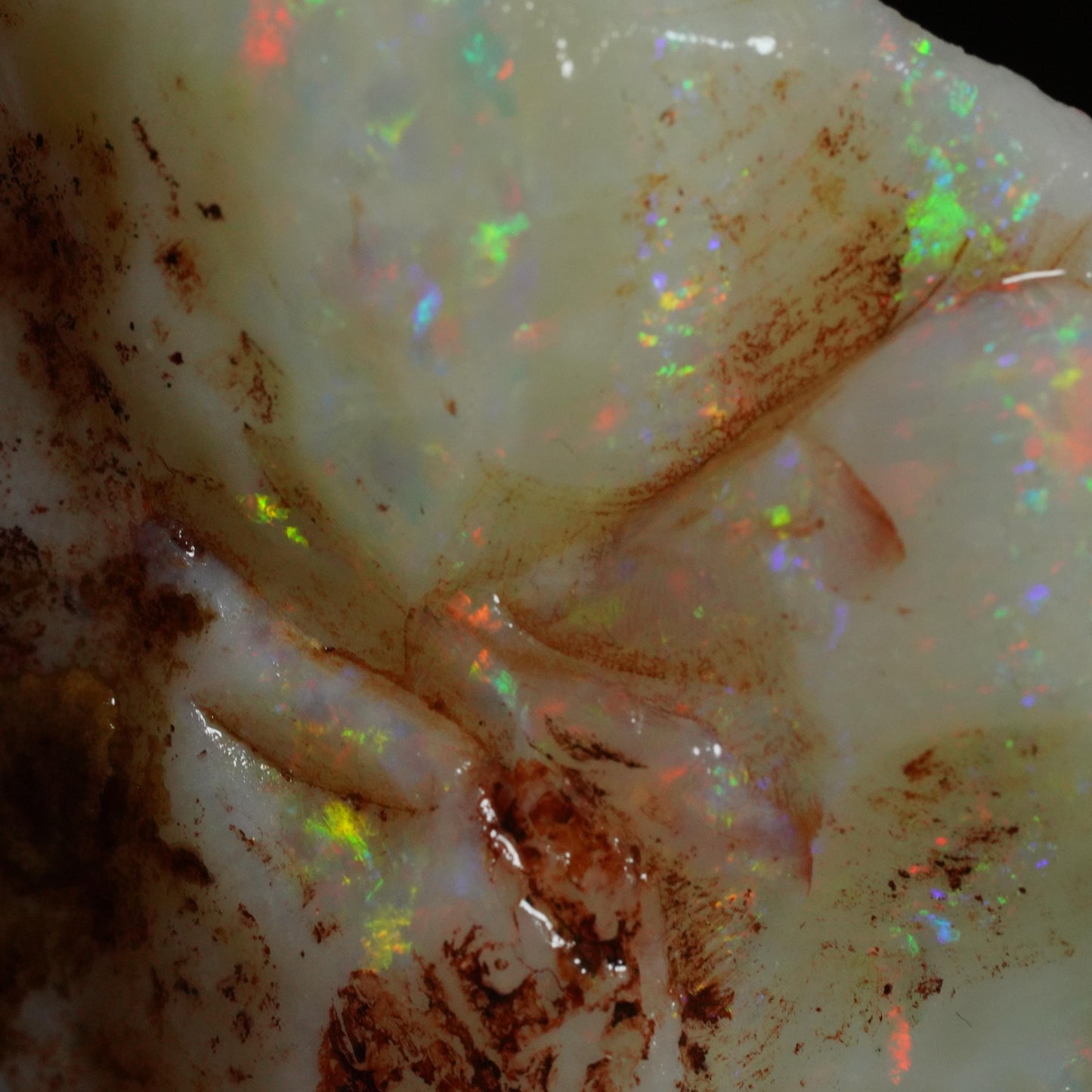 Australian Rough Opal
