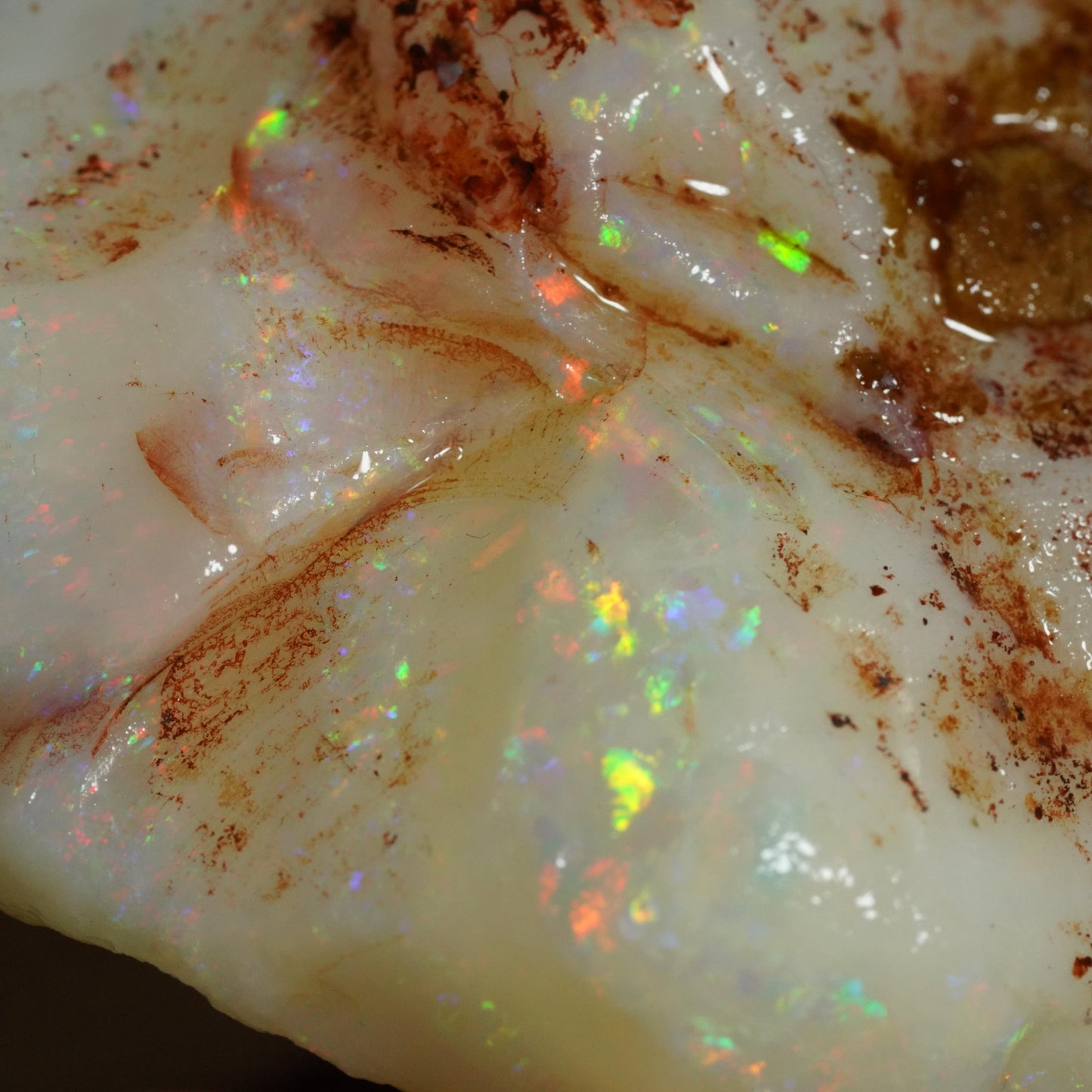 Australian Rough Opal
