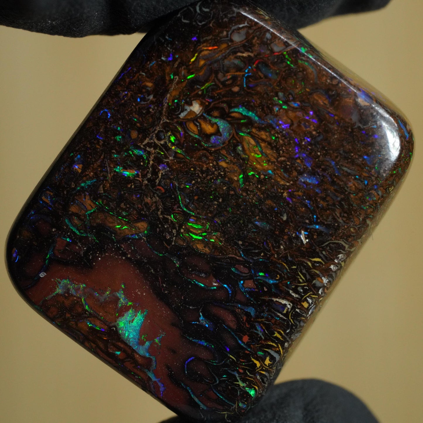 Boulder Opal Cut Stone