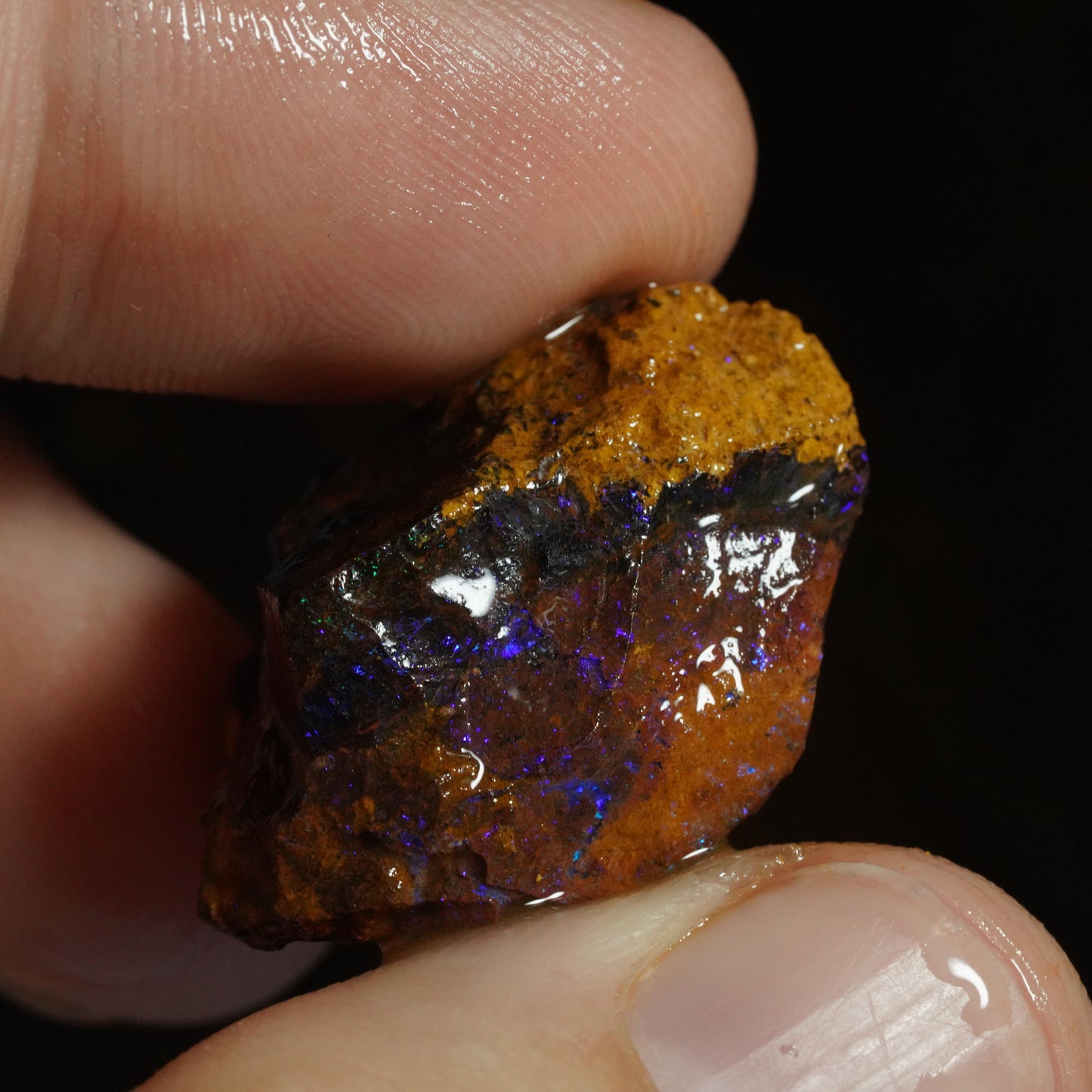 Rough Boulder Opal