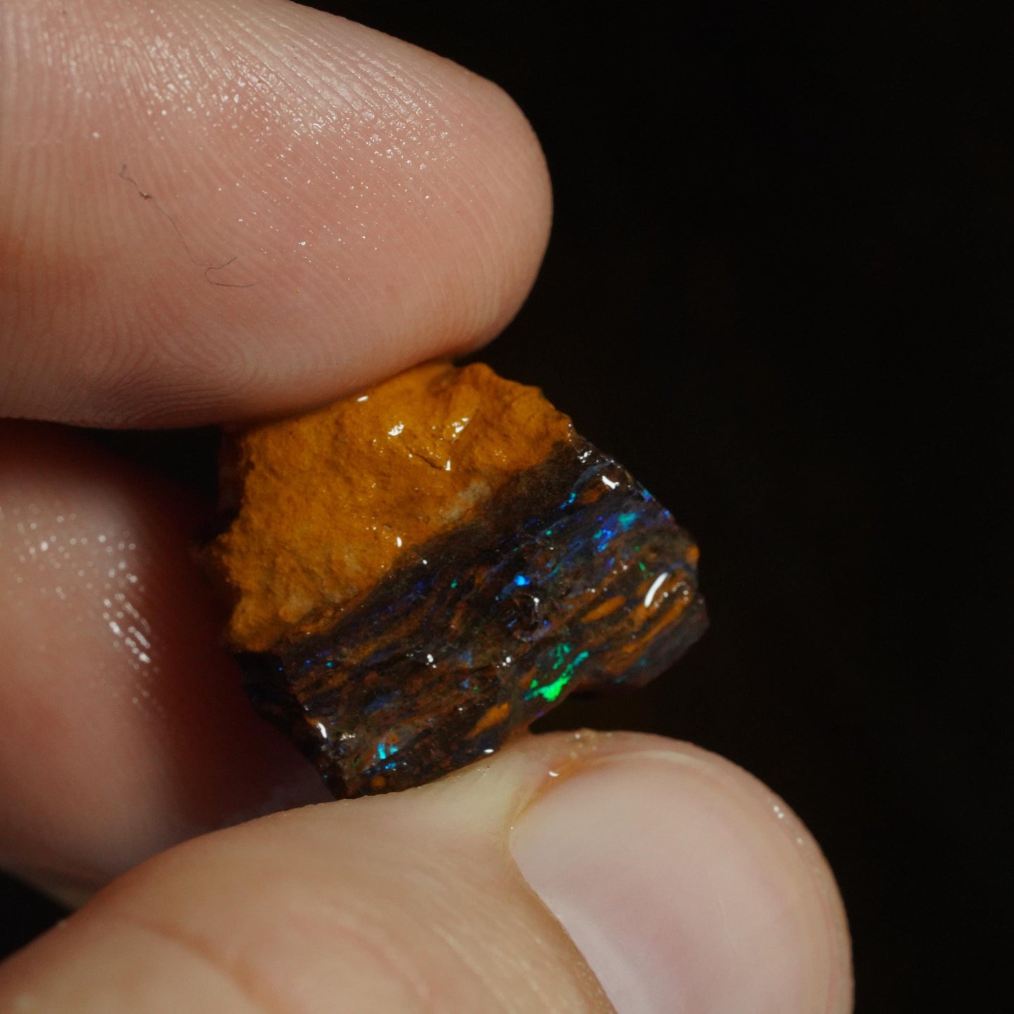 Rough Boulder Opal