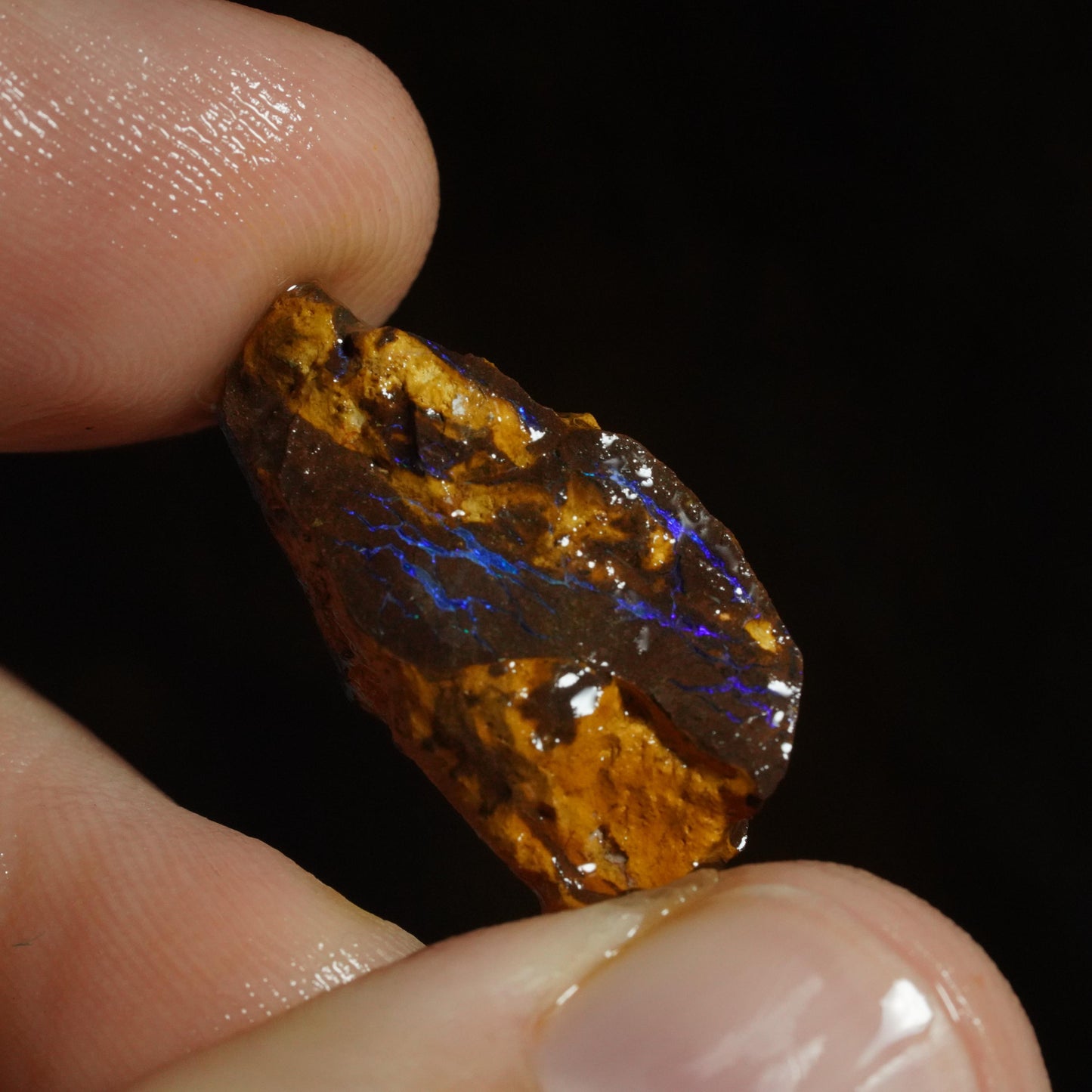 Rough Boulder Opal
