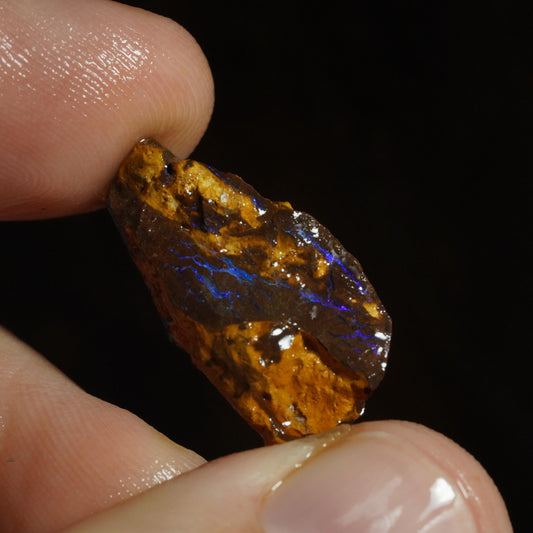 Rough Boulder Opal