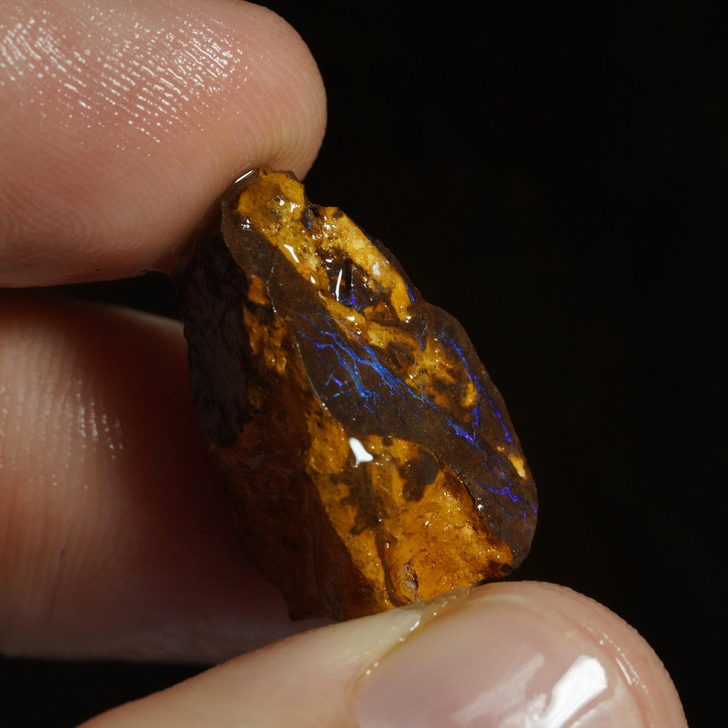 Rough Boulder Opal