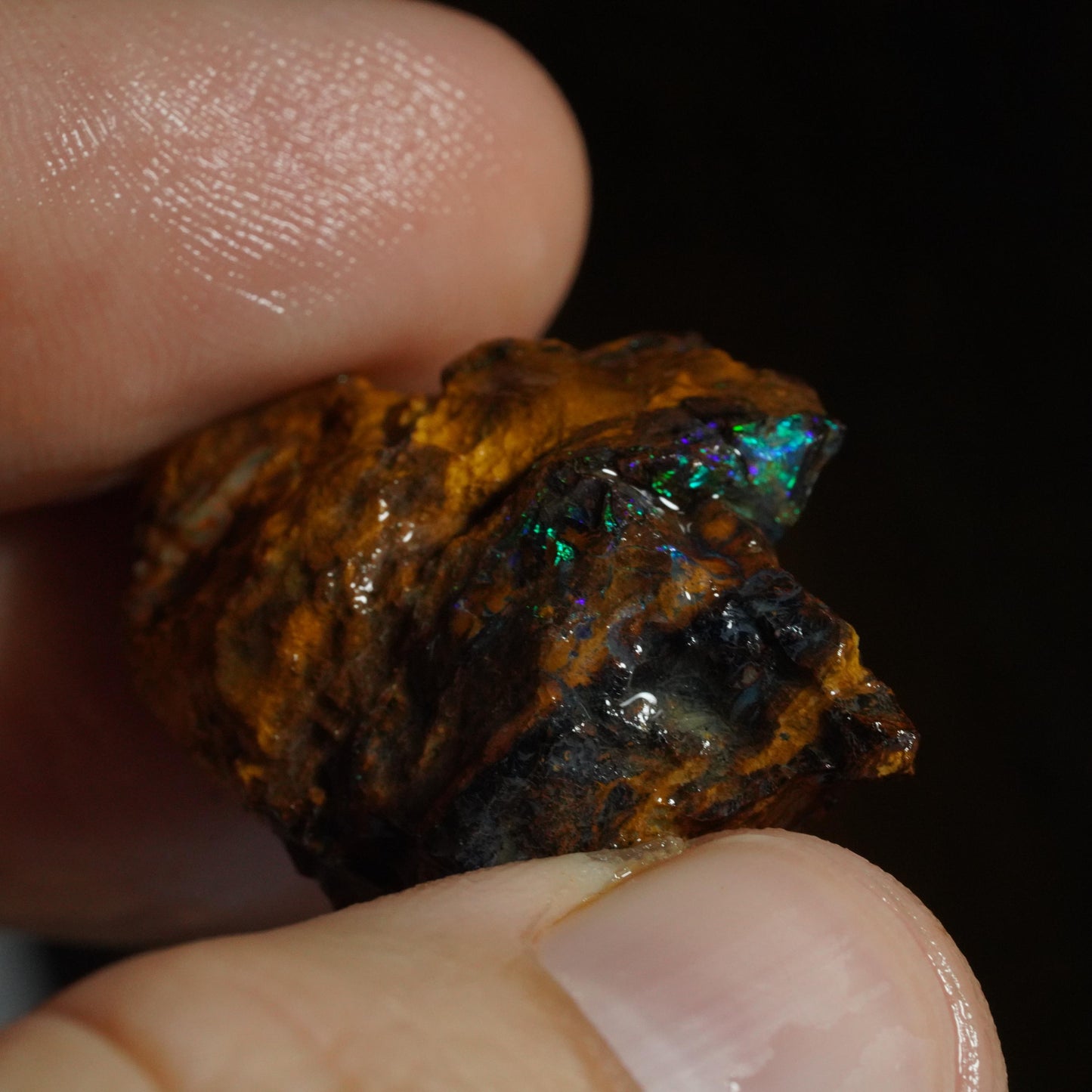 Rough Boulder Opal