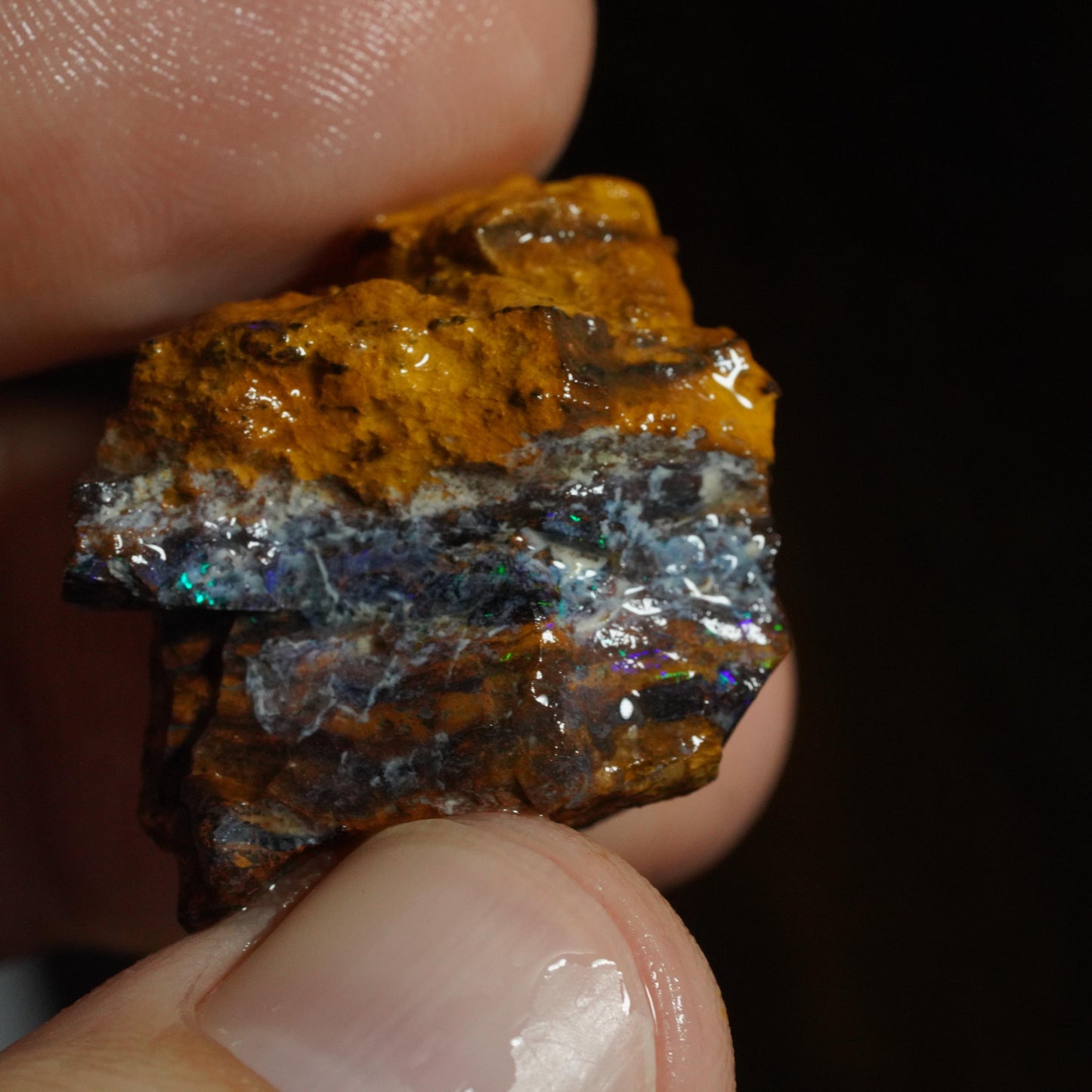Rough Boulder Opal