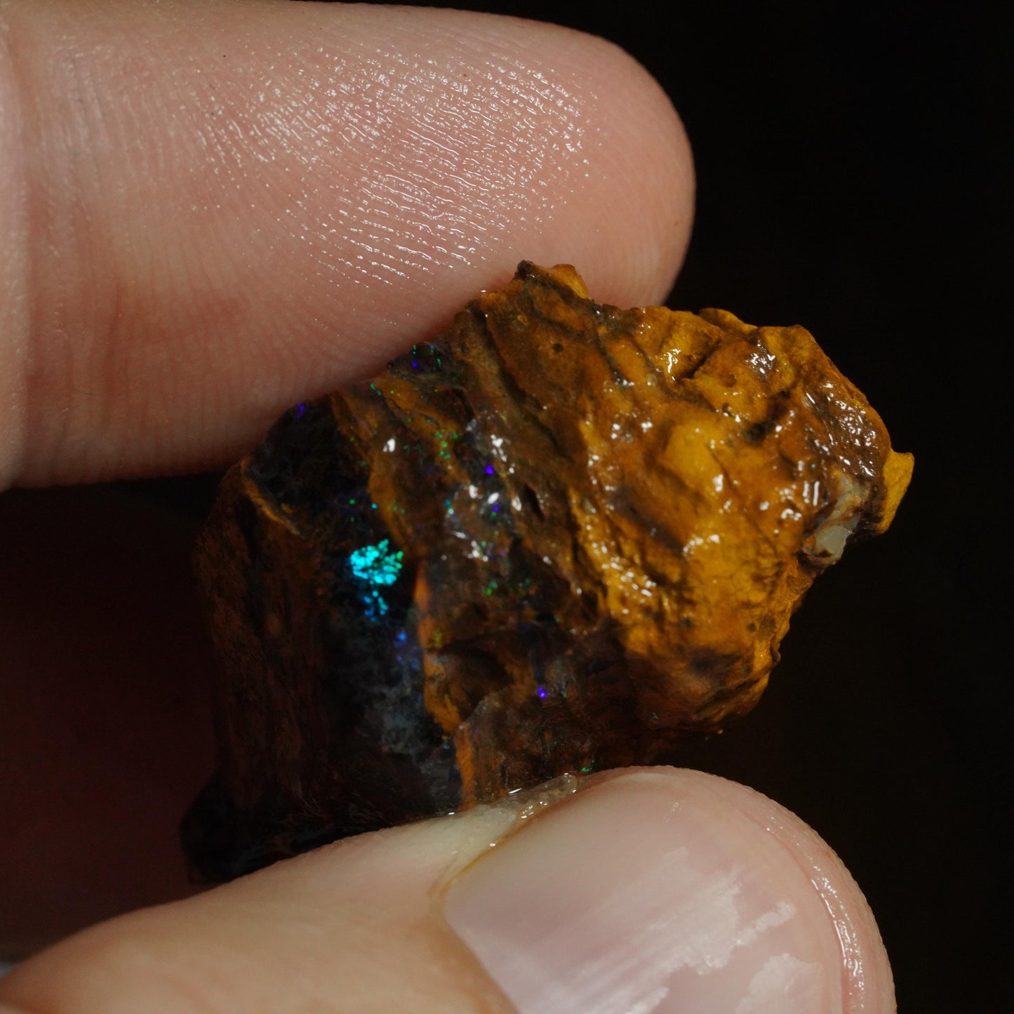 Rough Boulder Opal