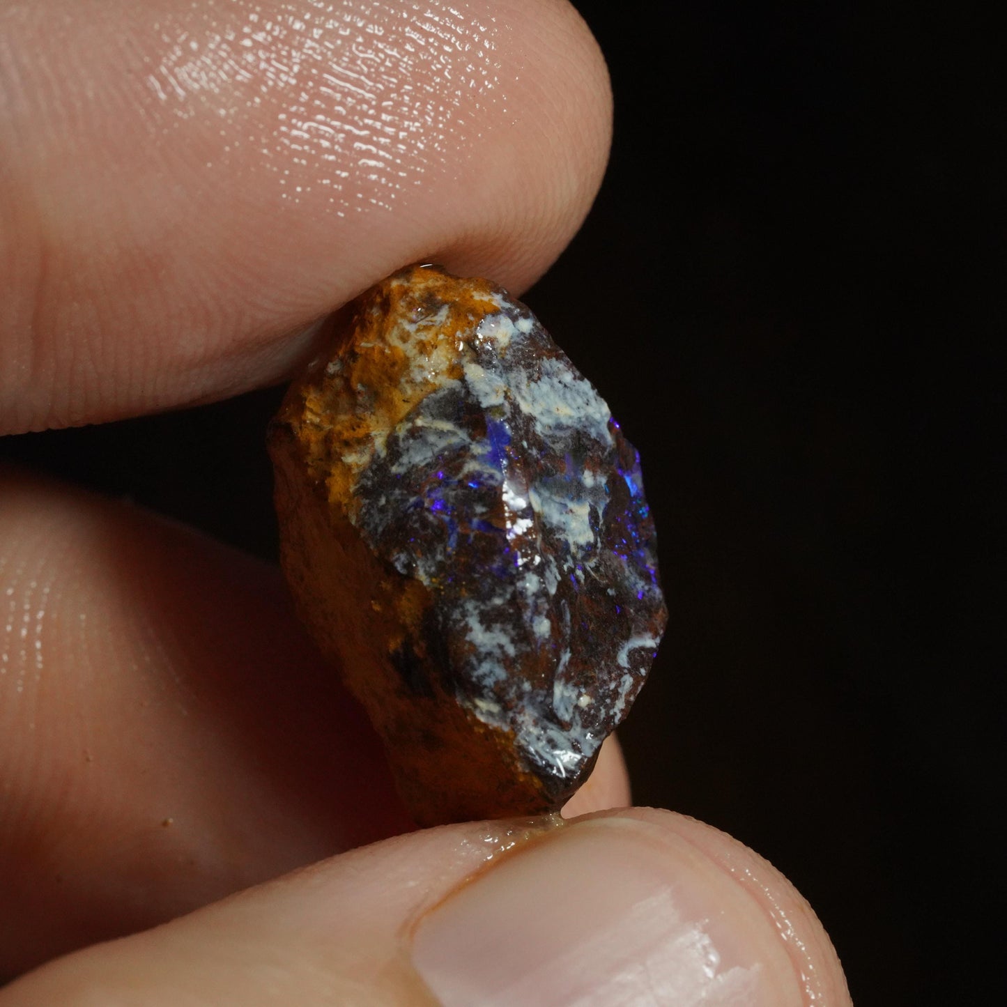 Rough Boulder Opal