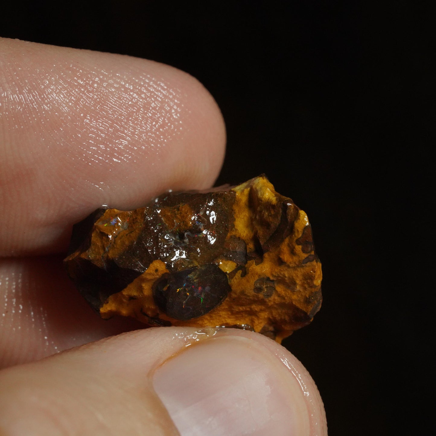 Rough Boulder Opal