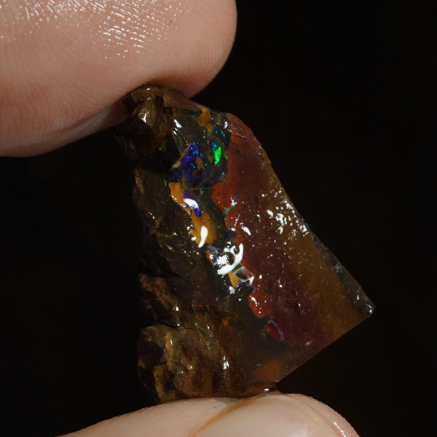 Rough Boulder Opal