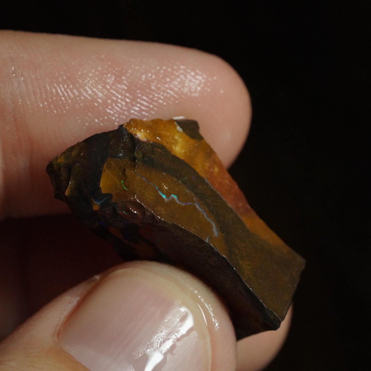 Rough Boulder Opal