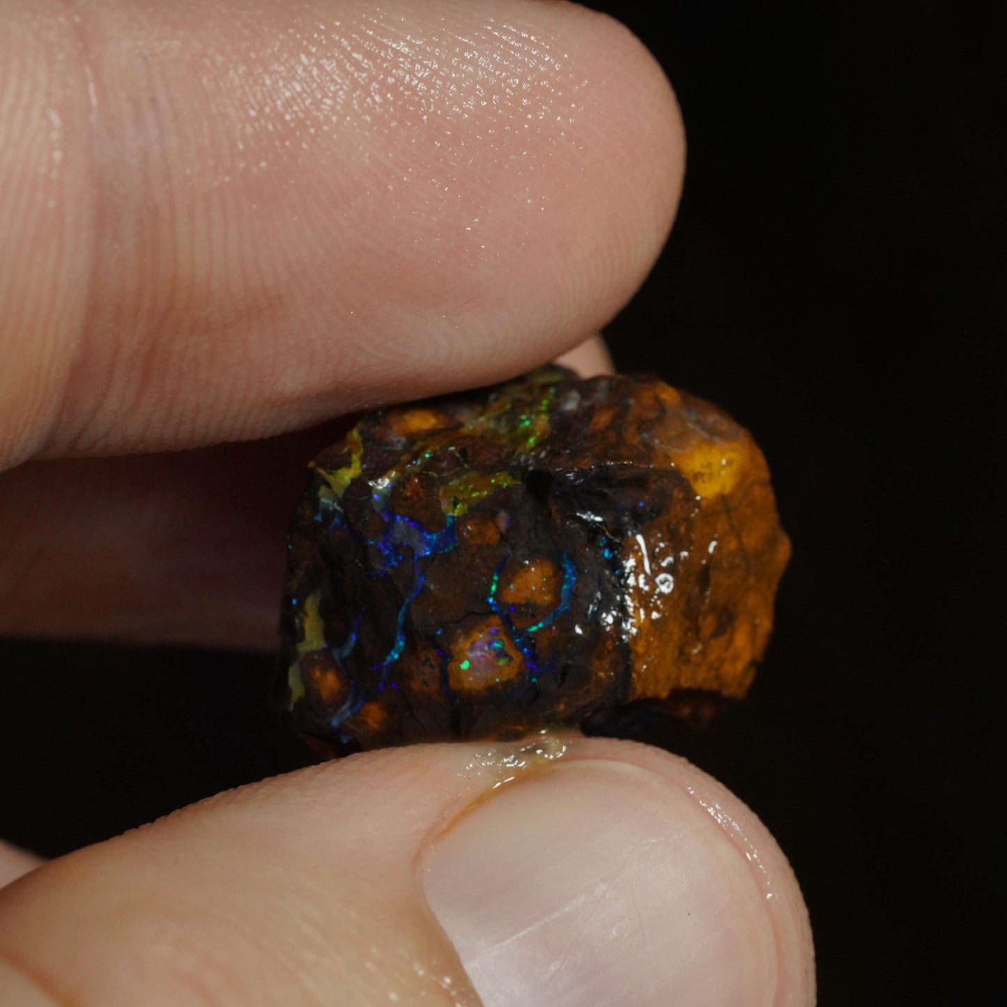 Rough Boulder Opal