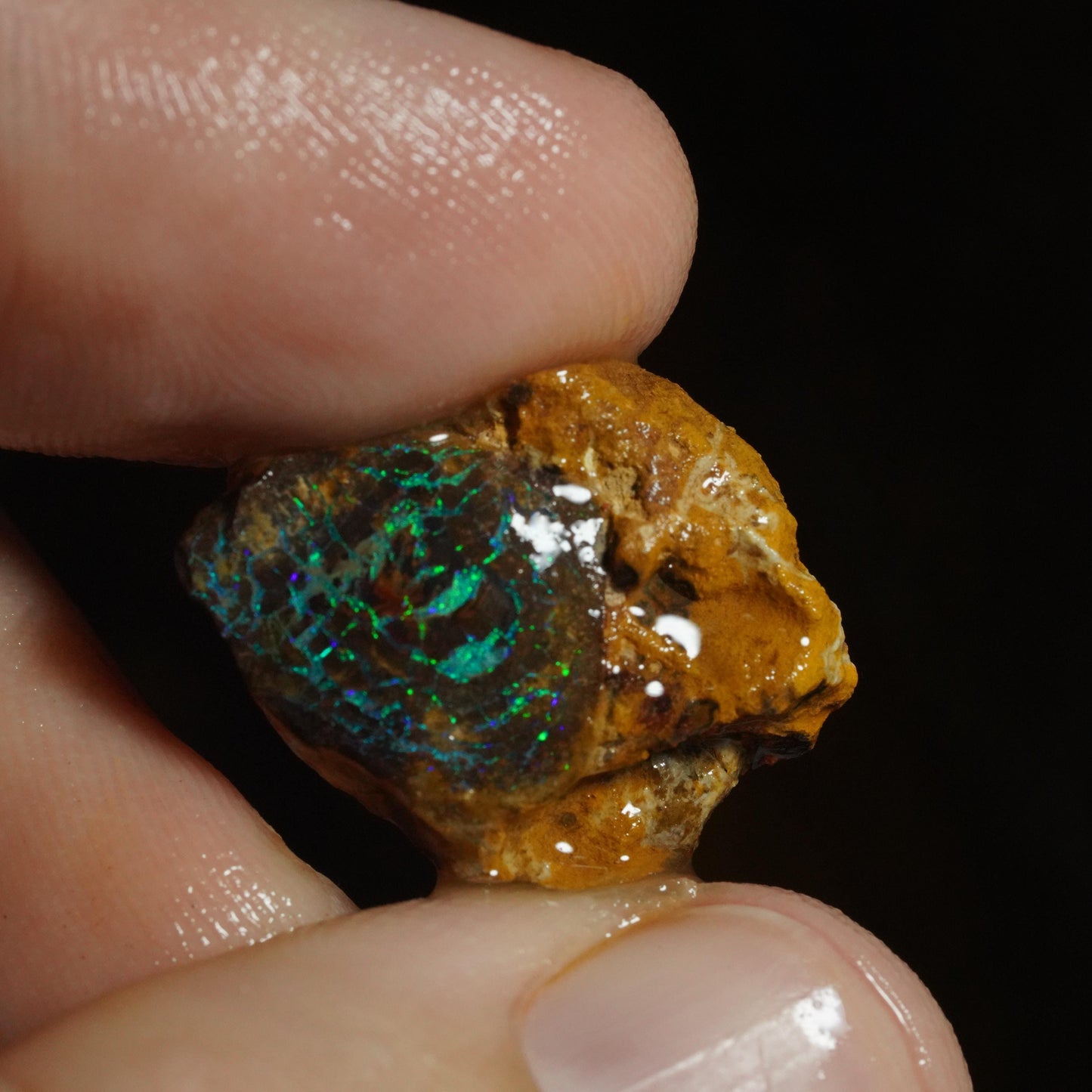 Rough Boulder Opal