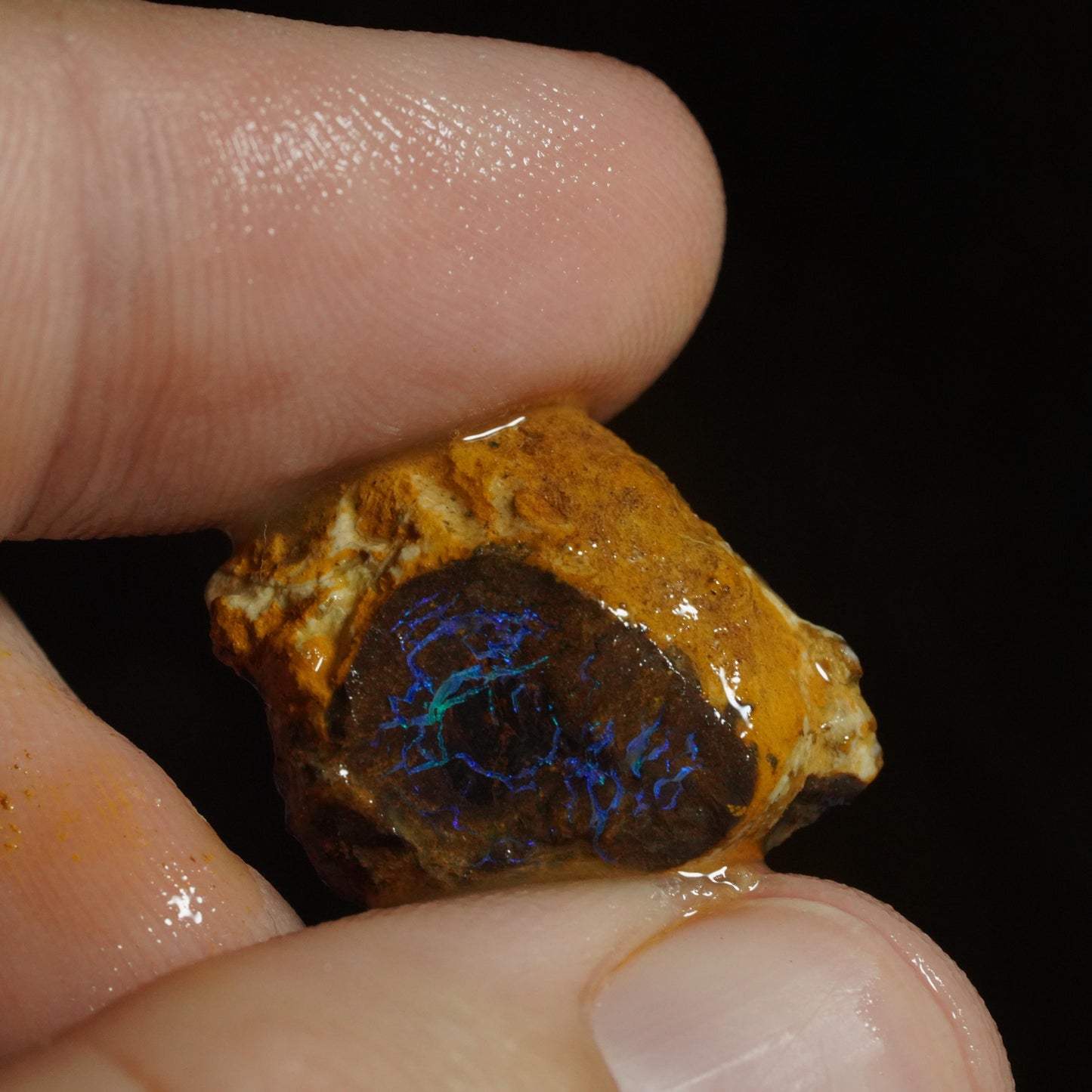 Rough Boulder Opal