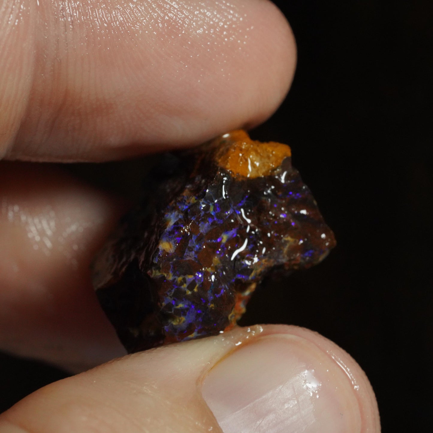 Rough Boulder Opal