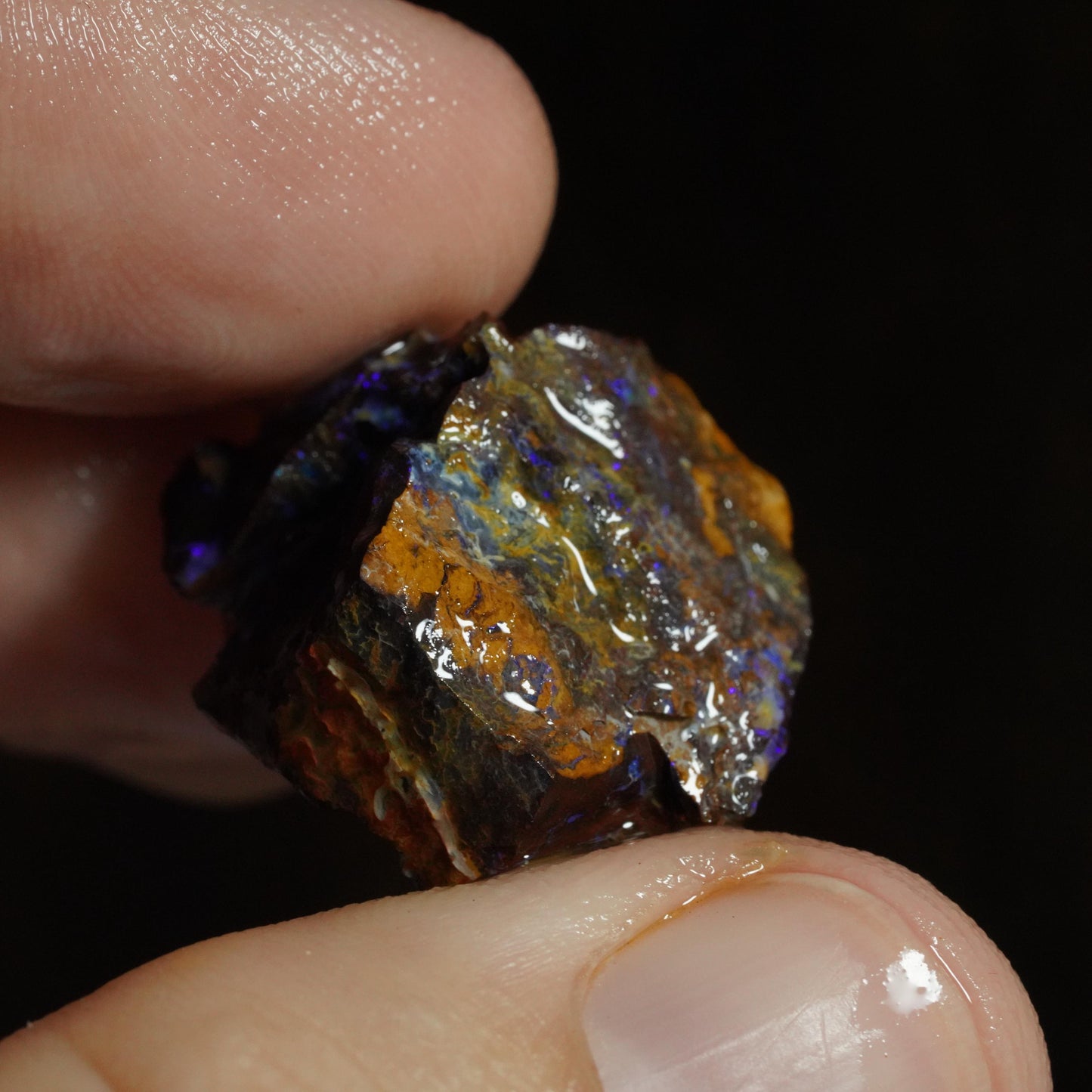 Rough Boulder Opal