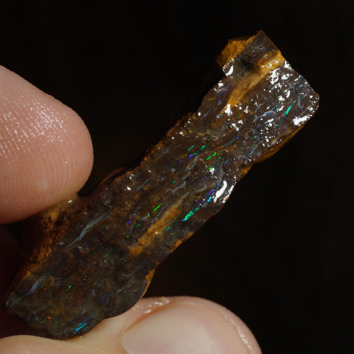 Rough Boulder Opal