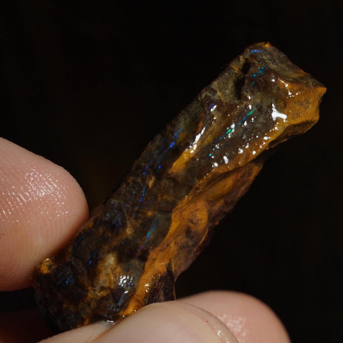 Rough Boulder Opal