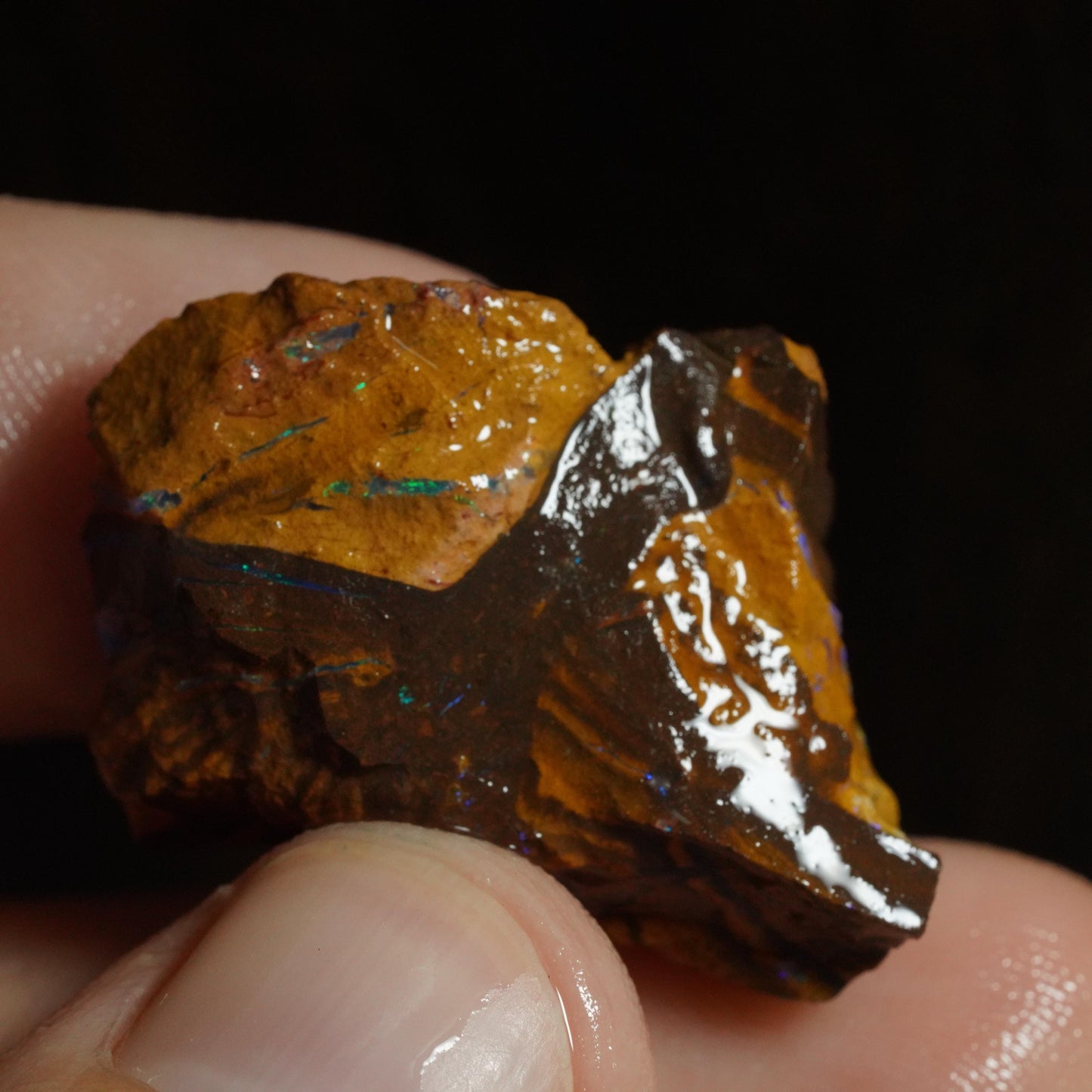 Rough Boulder Opal