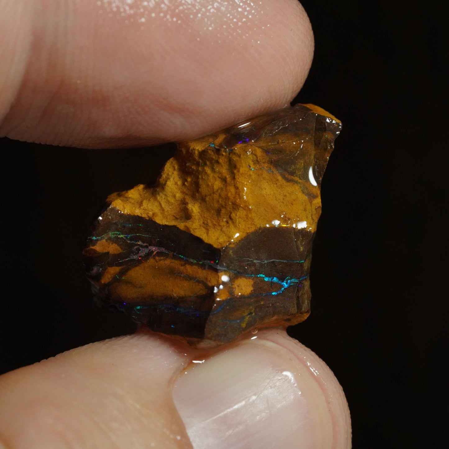 Rough Boulder Opal