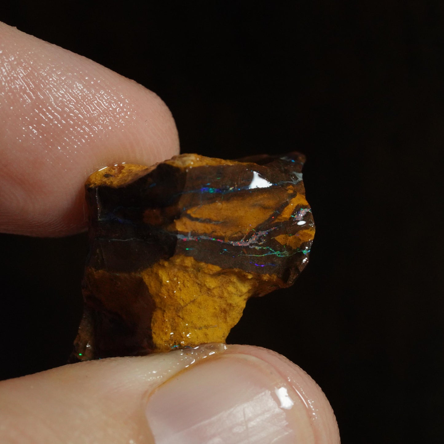 Rough Boulder Opal