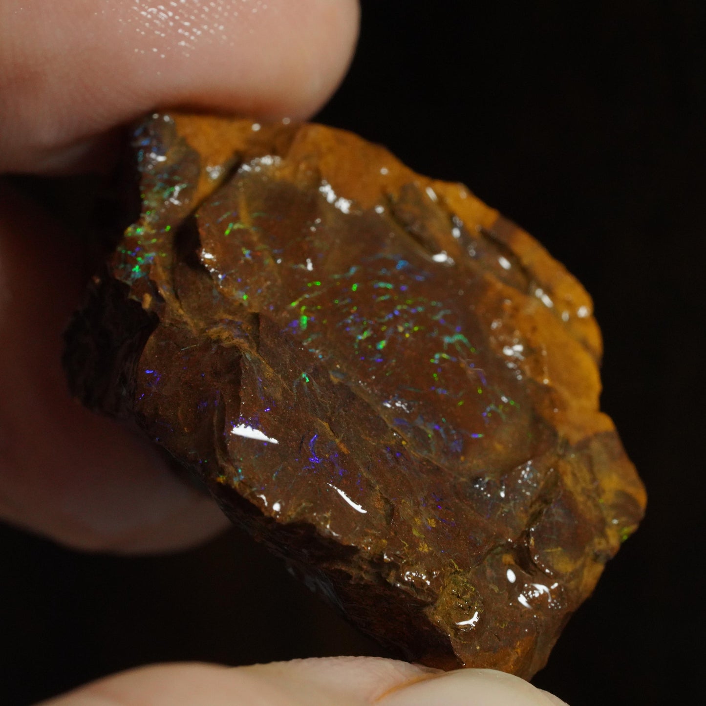 Rough Boulder Opal