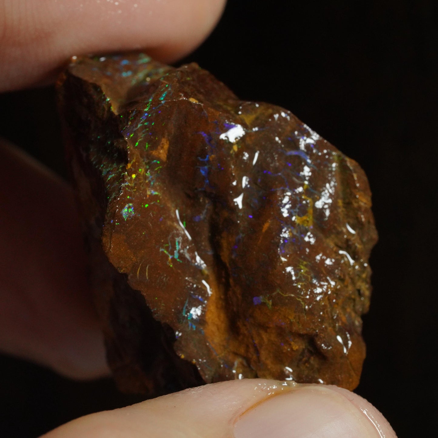 Rough Boulder Opal