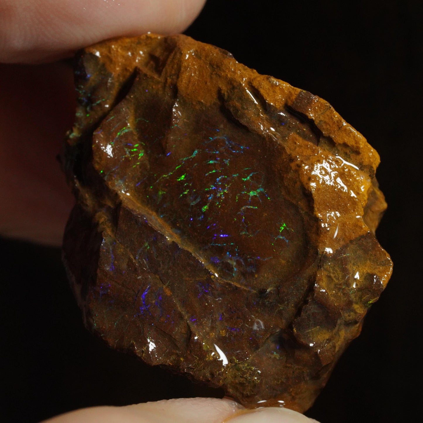 Rough Boulder Opal