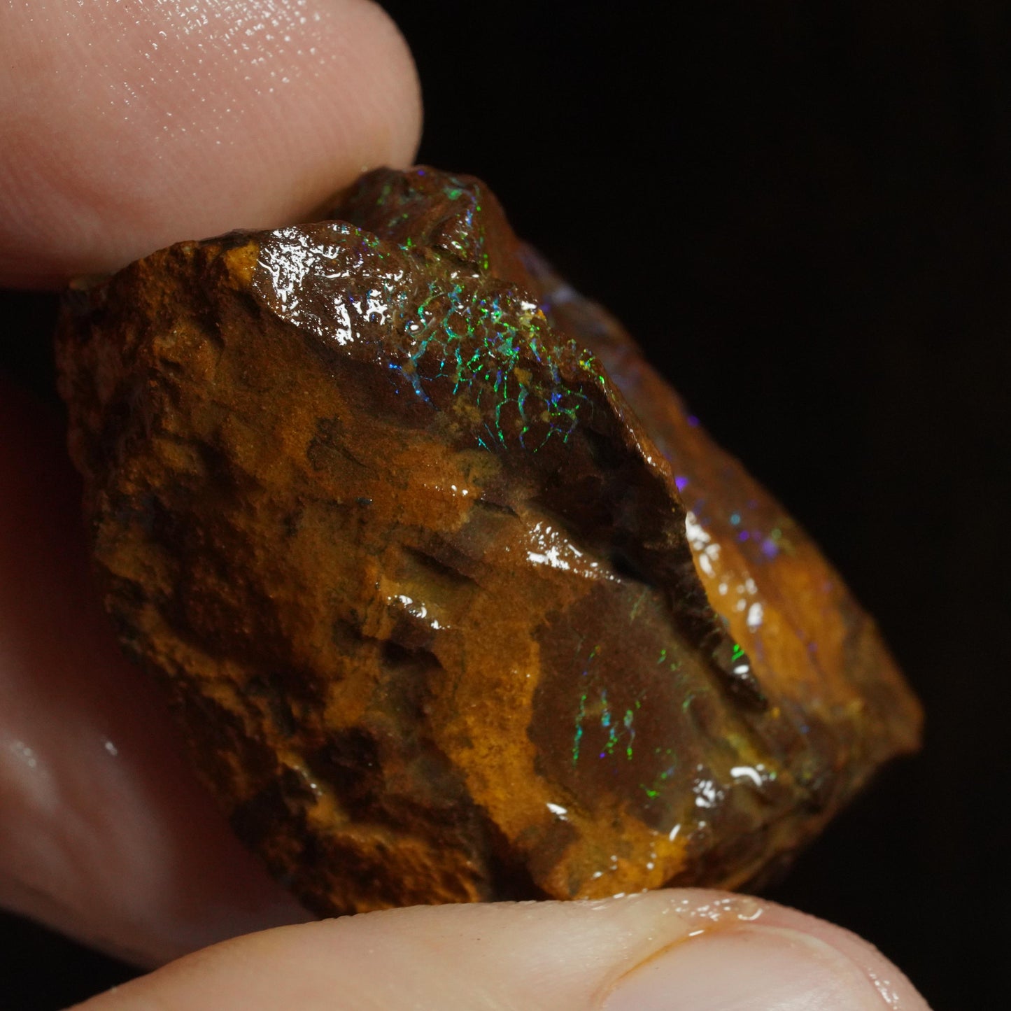 Rough Boulder Opal