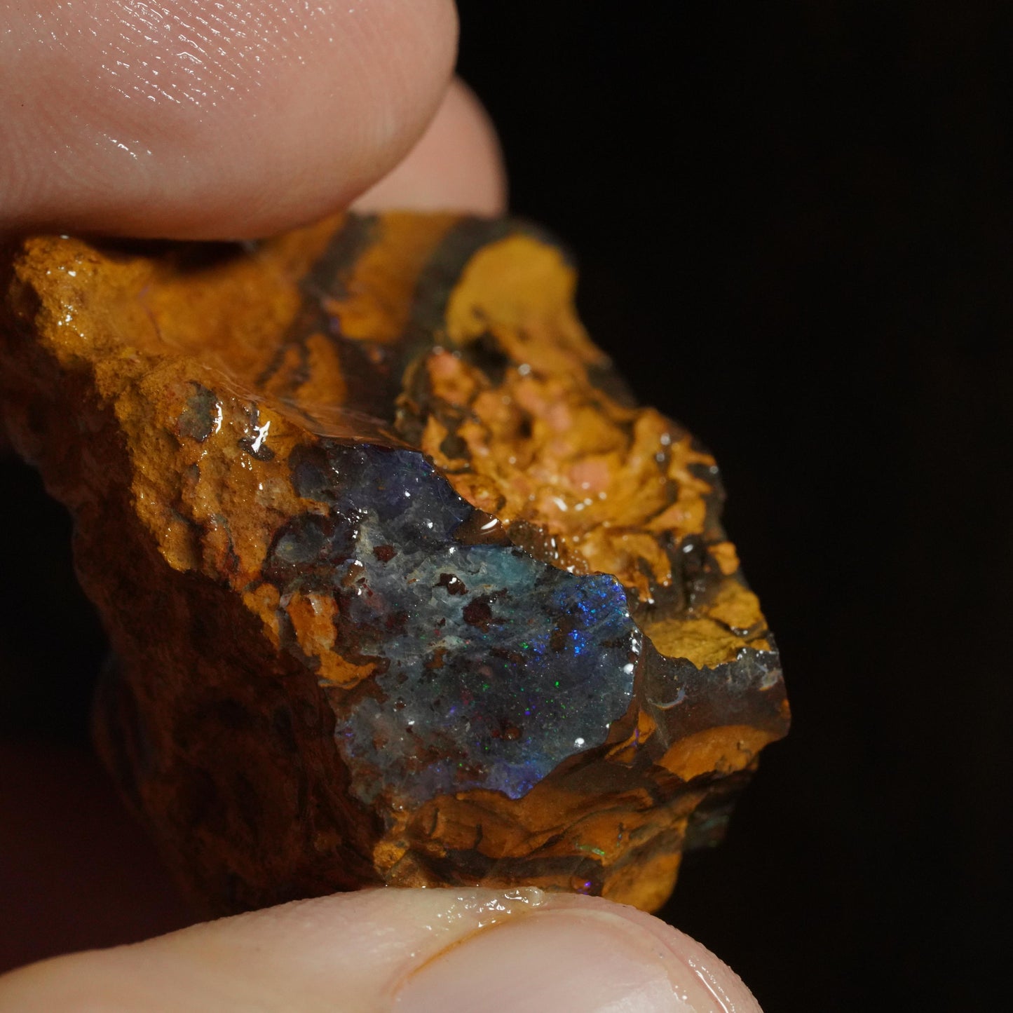 Rough Boulder Opal