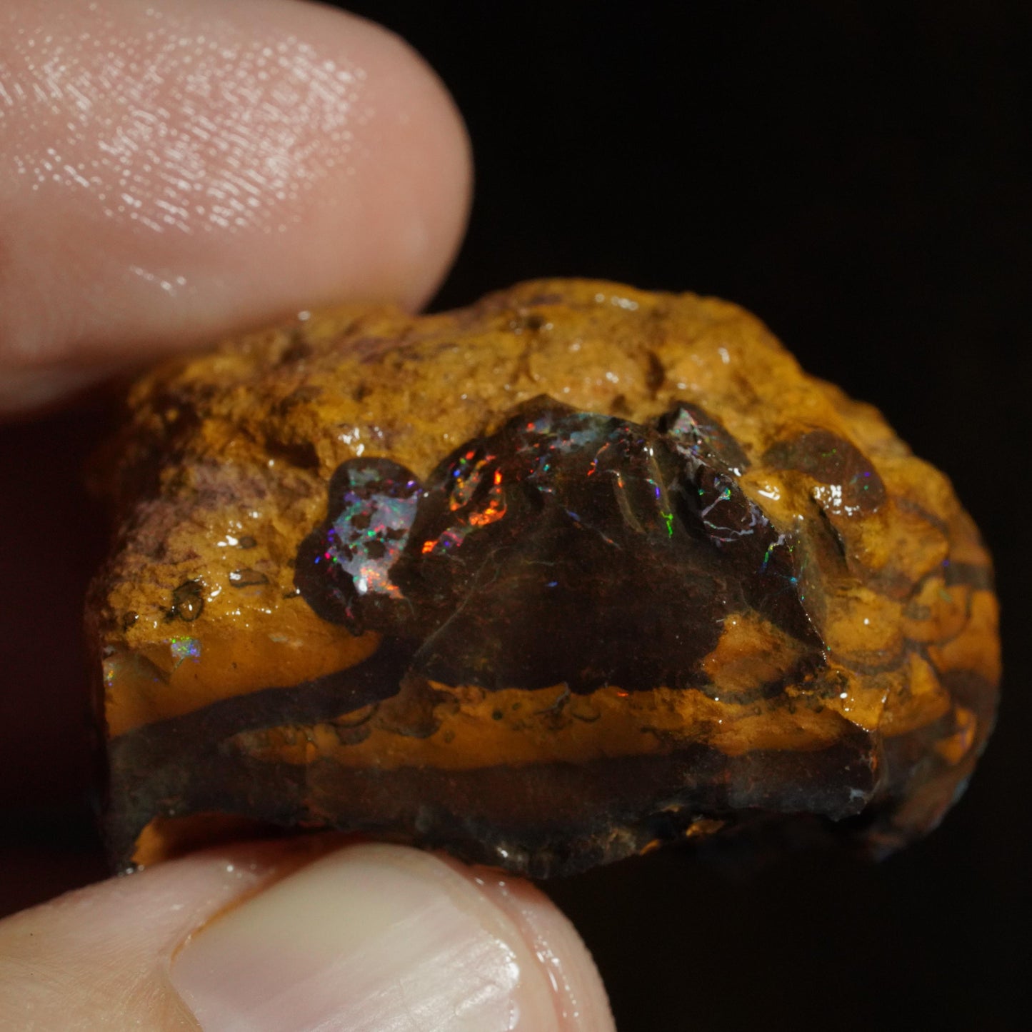Rough Boulder Opal