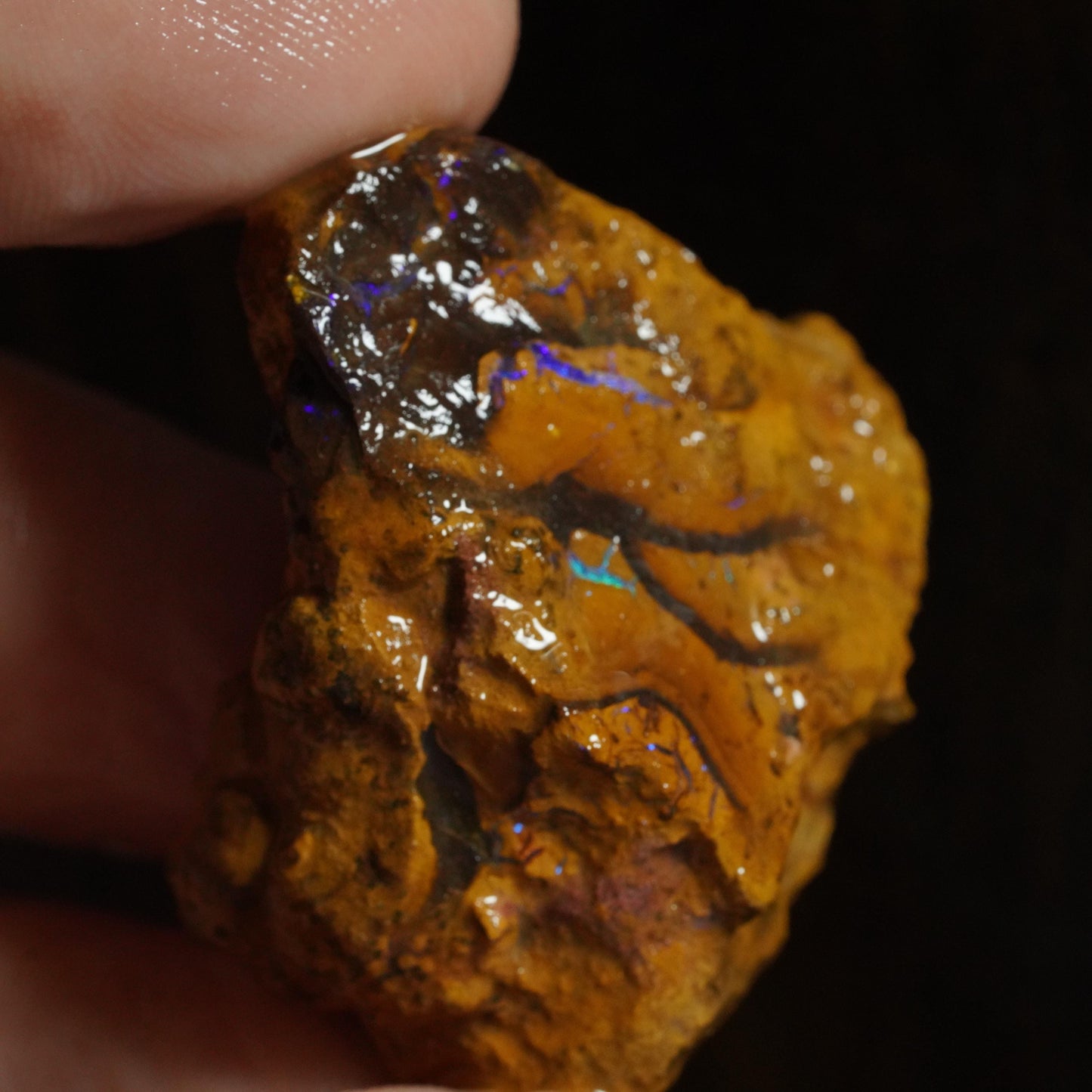 Rough Boulder Opal