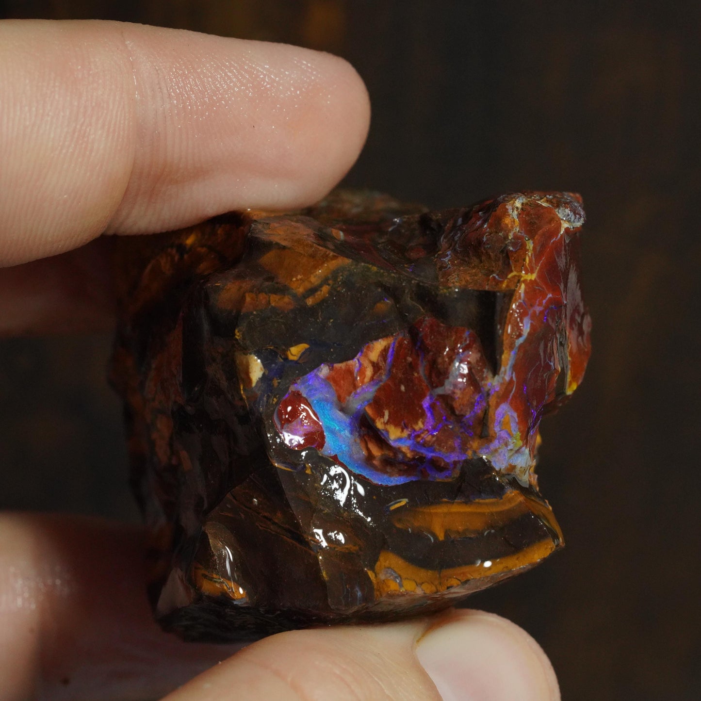 Rough Boulder Opal