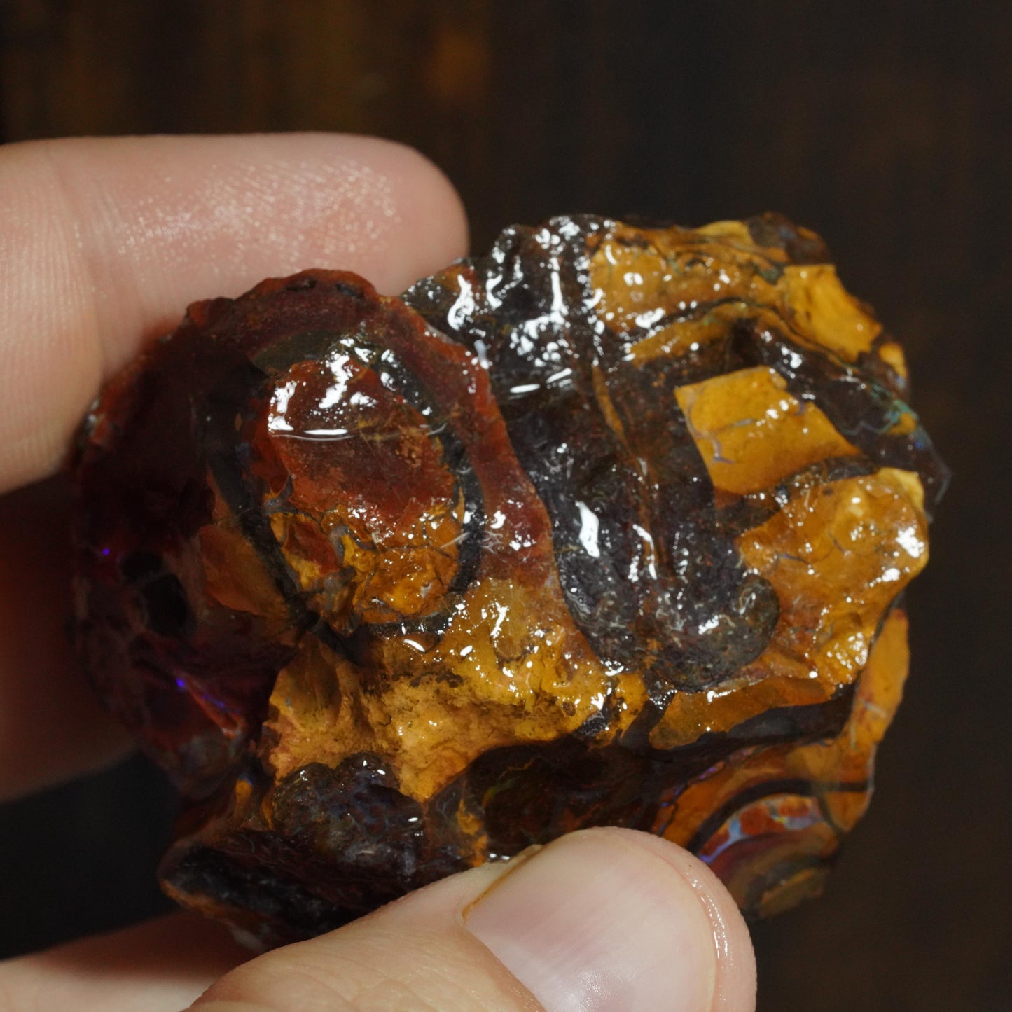 Rough Boulder Opal