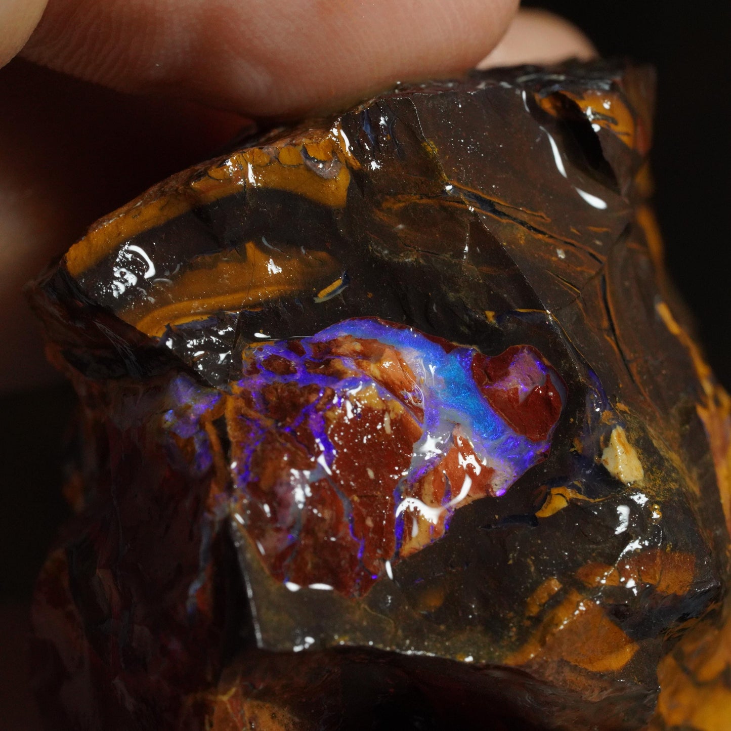 Rough Boulder Opal