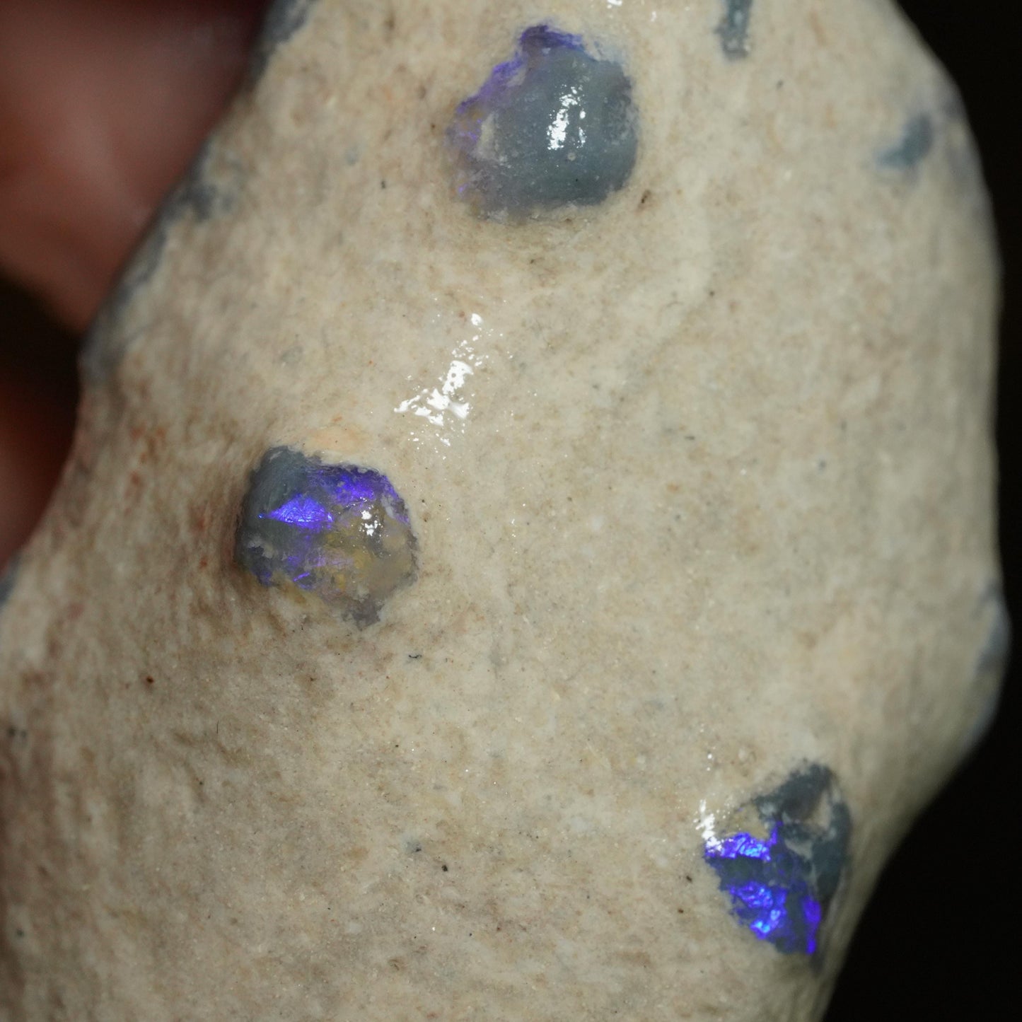 Australian Rough Opal Nobby