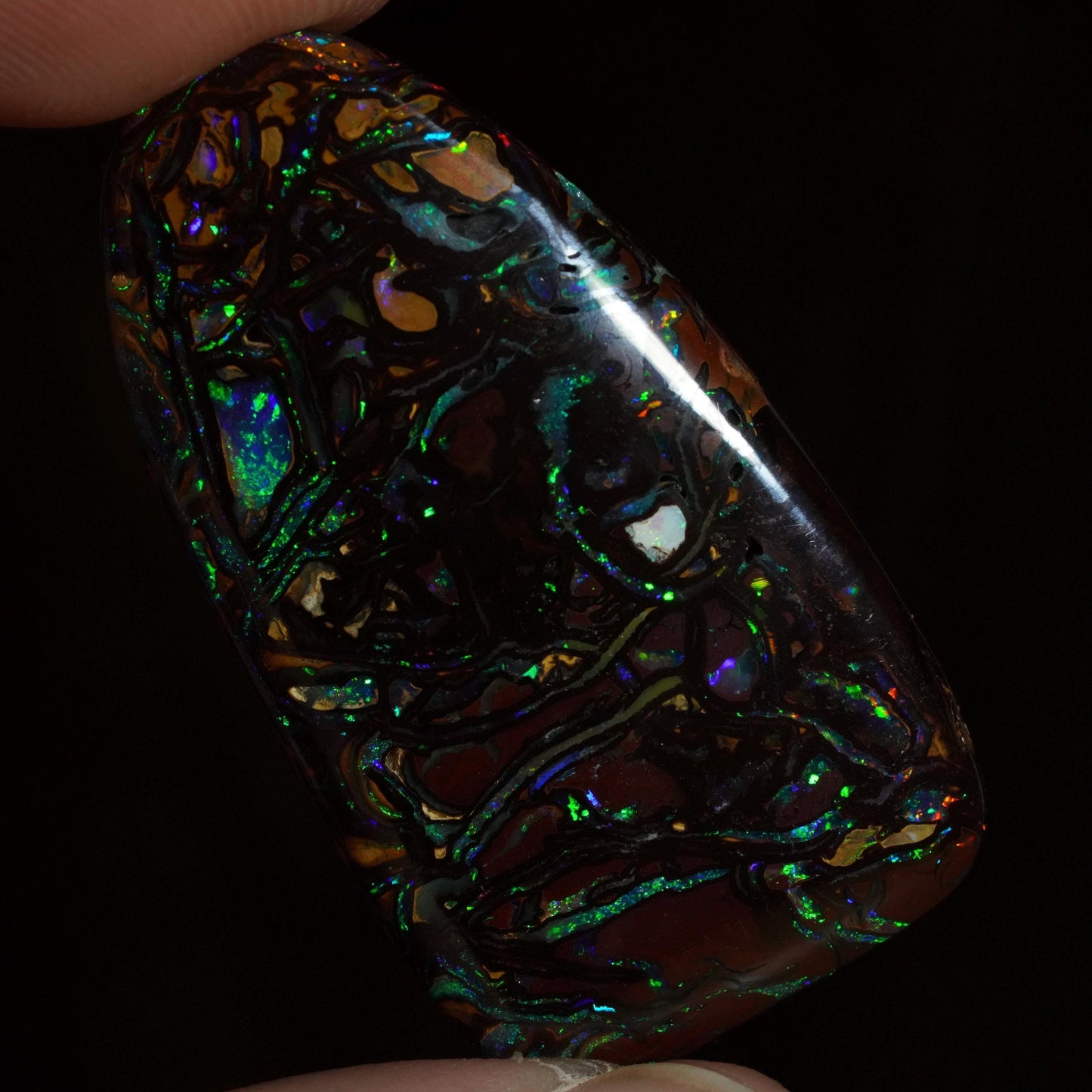 Boulder Opal Cut Stone