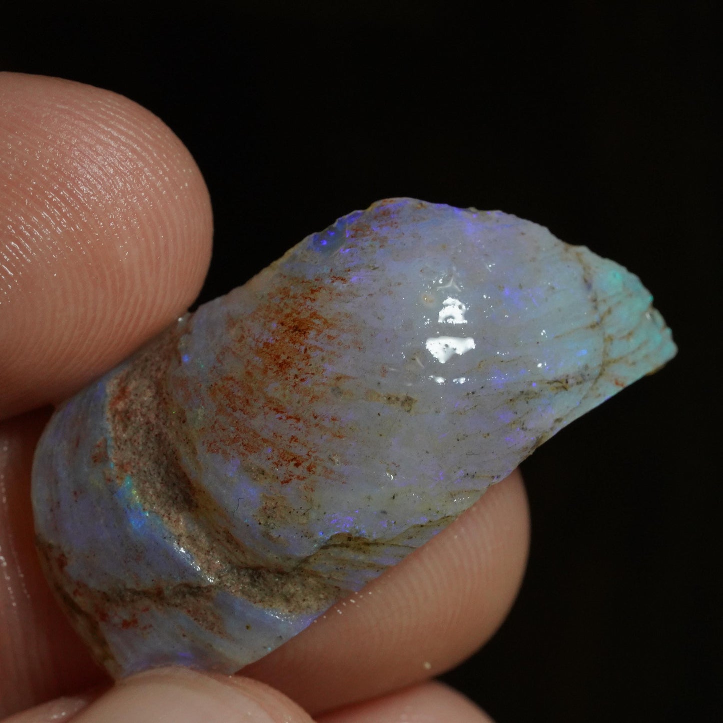 Australian Rough Opal / Fossil Shell Segment