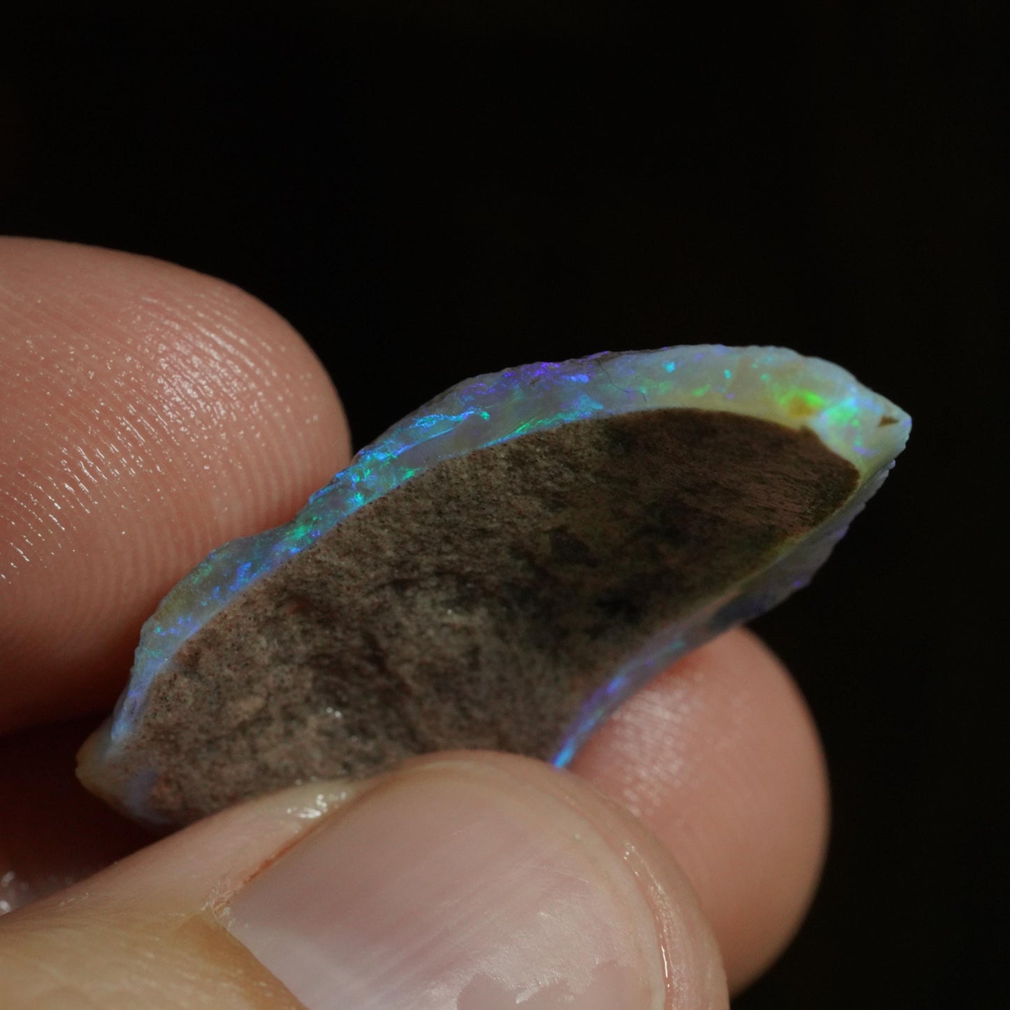 Australian Rough Opal / Fossil Shell Segment