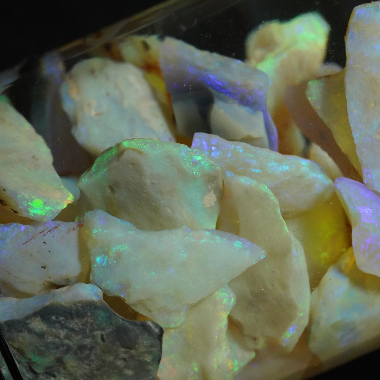 Lightning Ridge Rough Opal Parcel