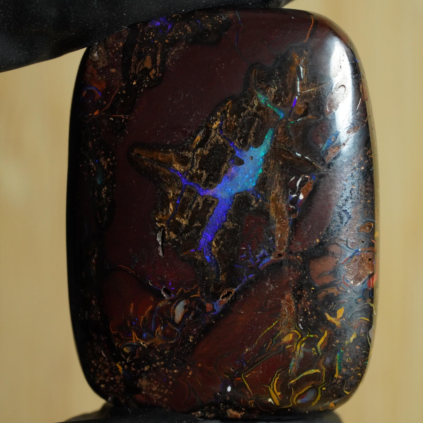 Boulder Opal Cut Stone